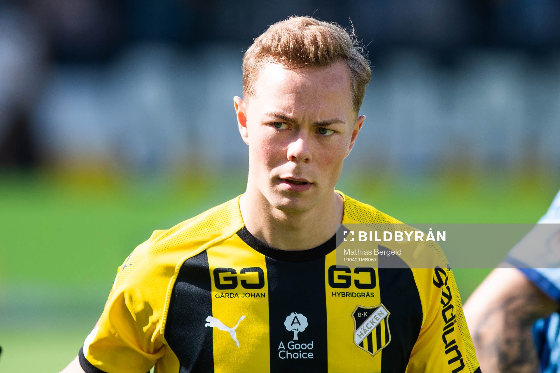 Häckens Adam Andersson