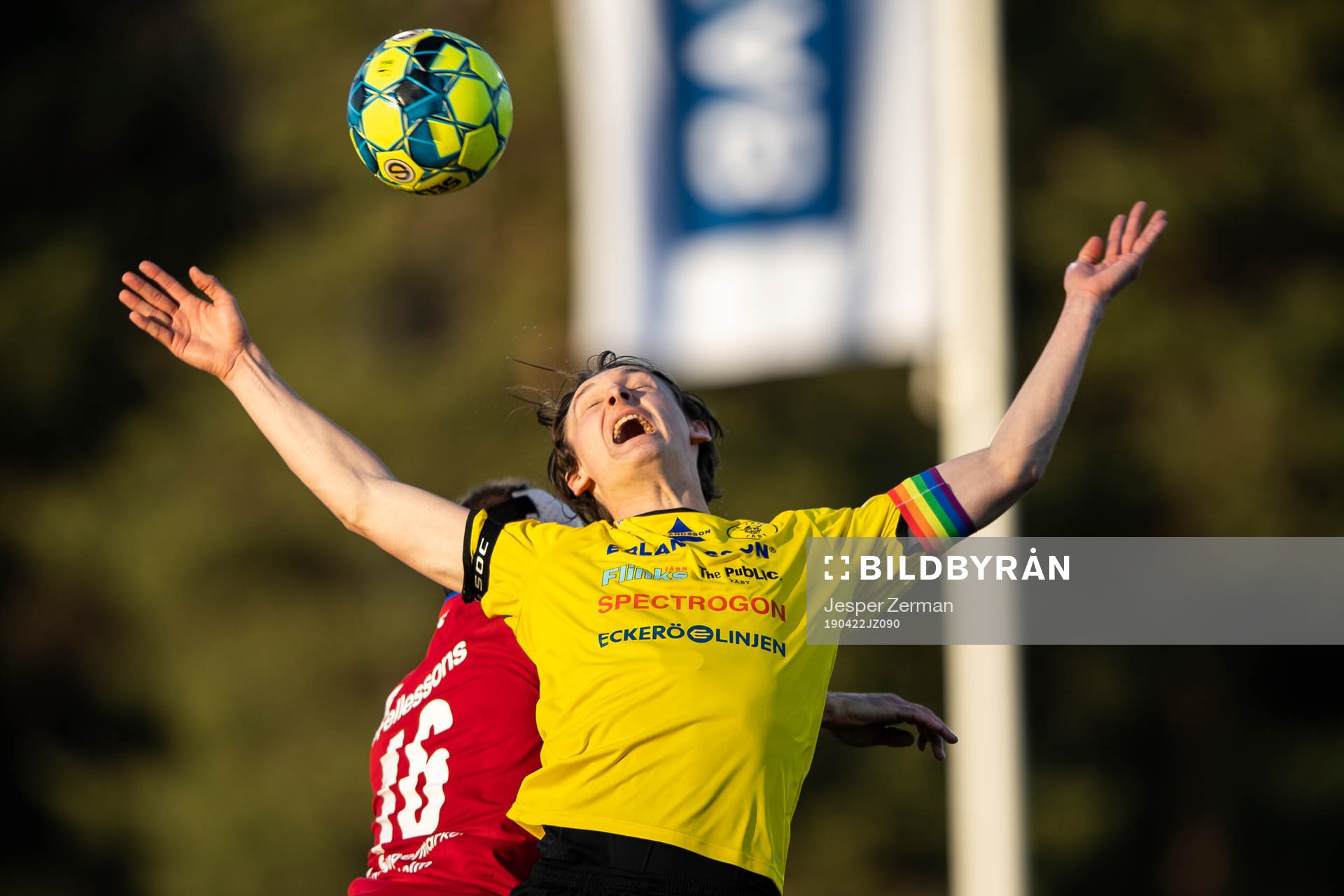 Frejs Hjalmar Ekdal