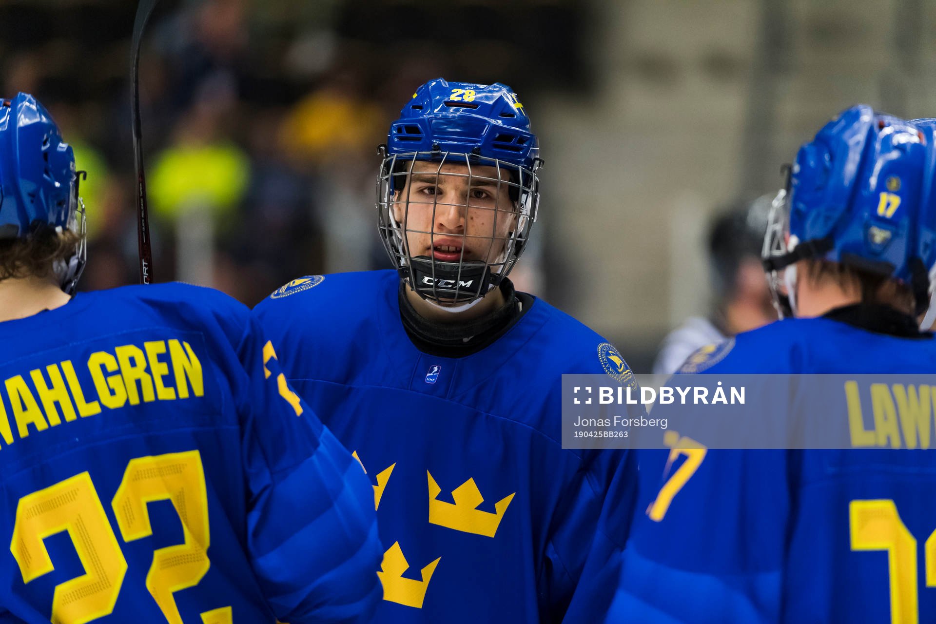 Swedens Albin Sundvik