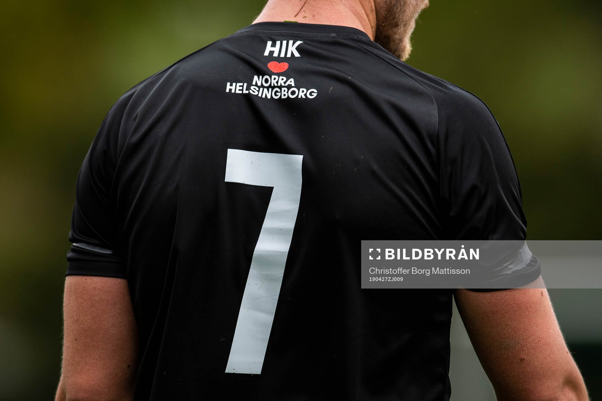 Ryggtavlan av Hittarps Johan Wester