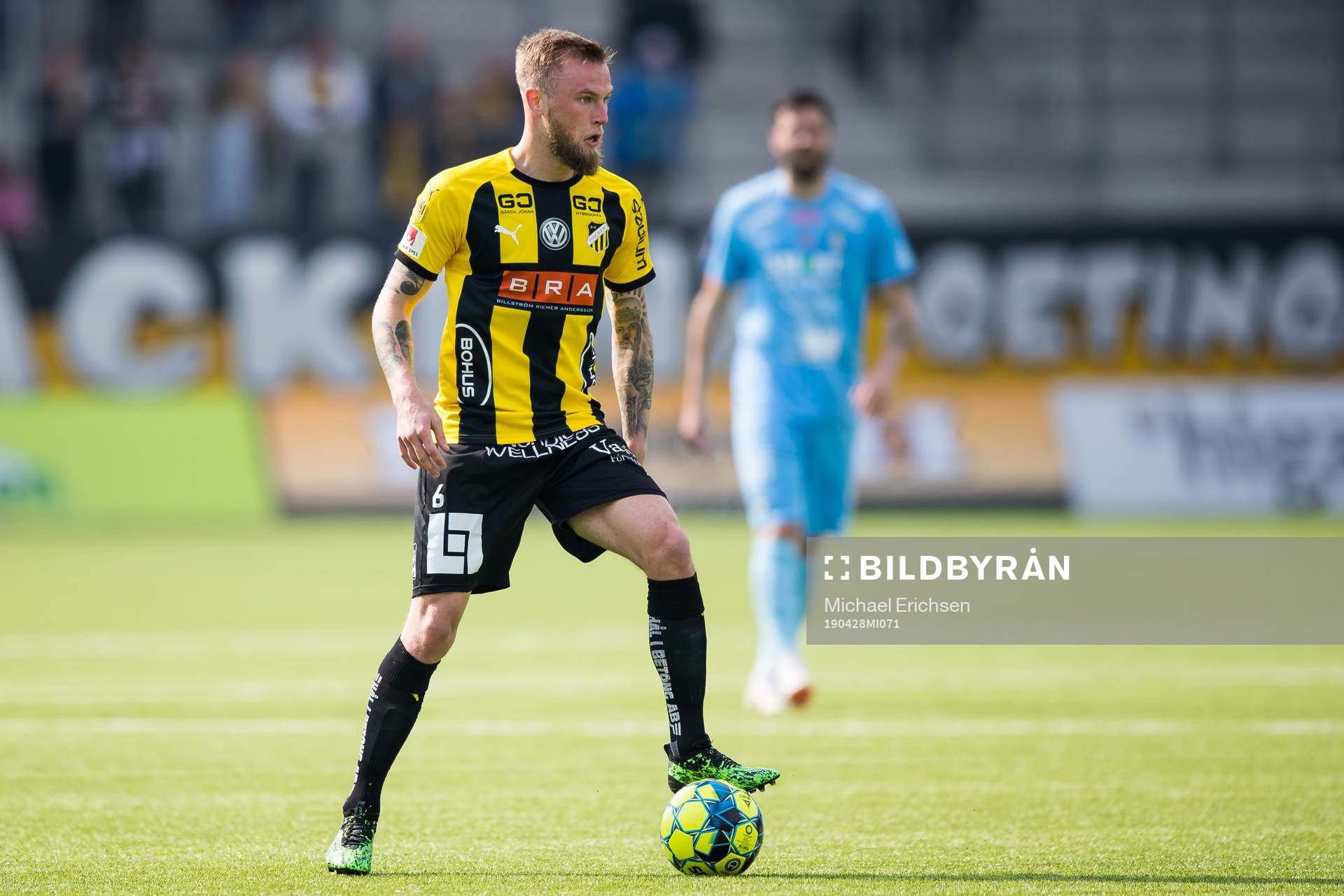 Häckens Alexander Faltsetas