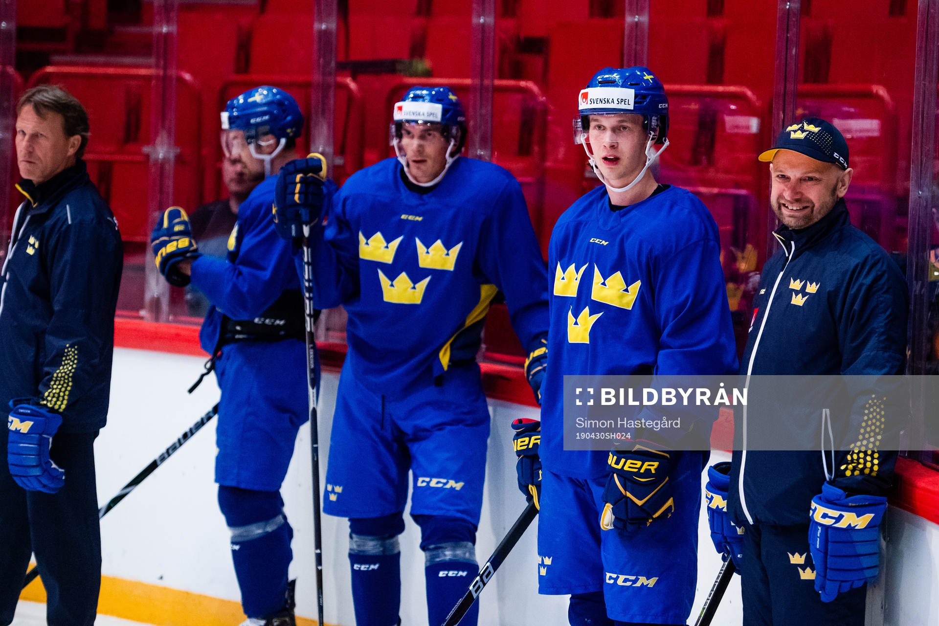 Loui Eriksson and Elias Pettersson