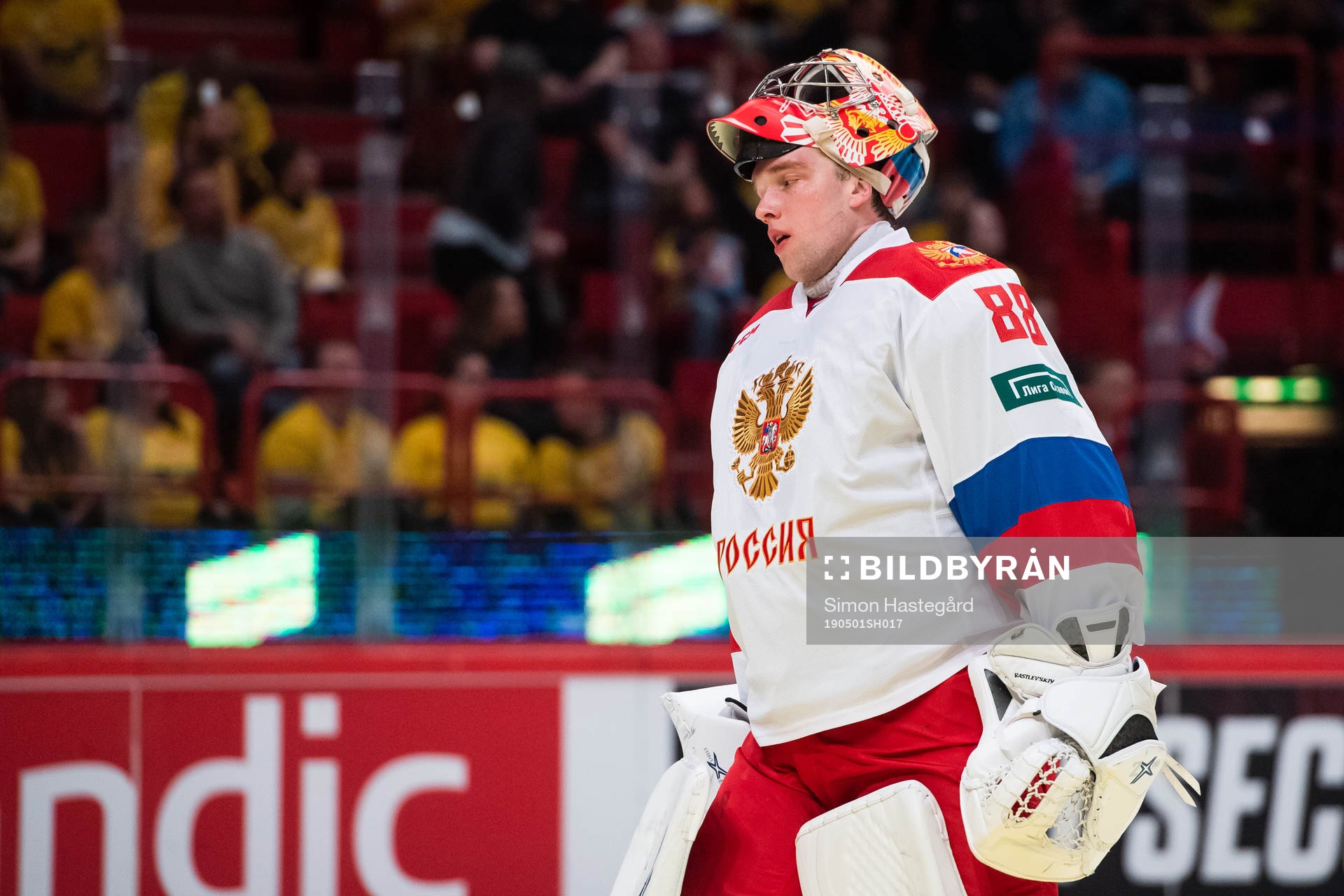 Goalkeeper Andrei Vasilevsky of Russia