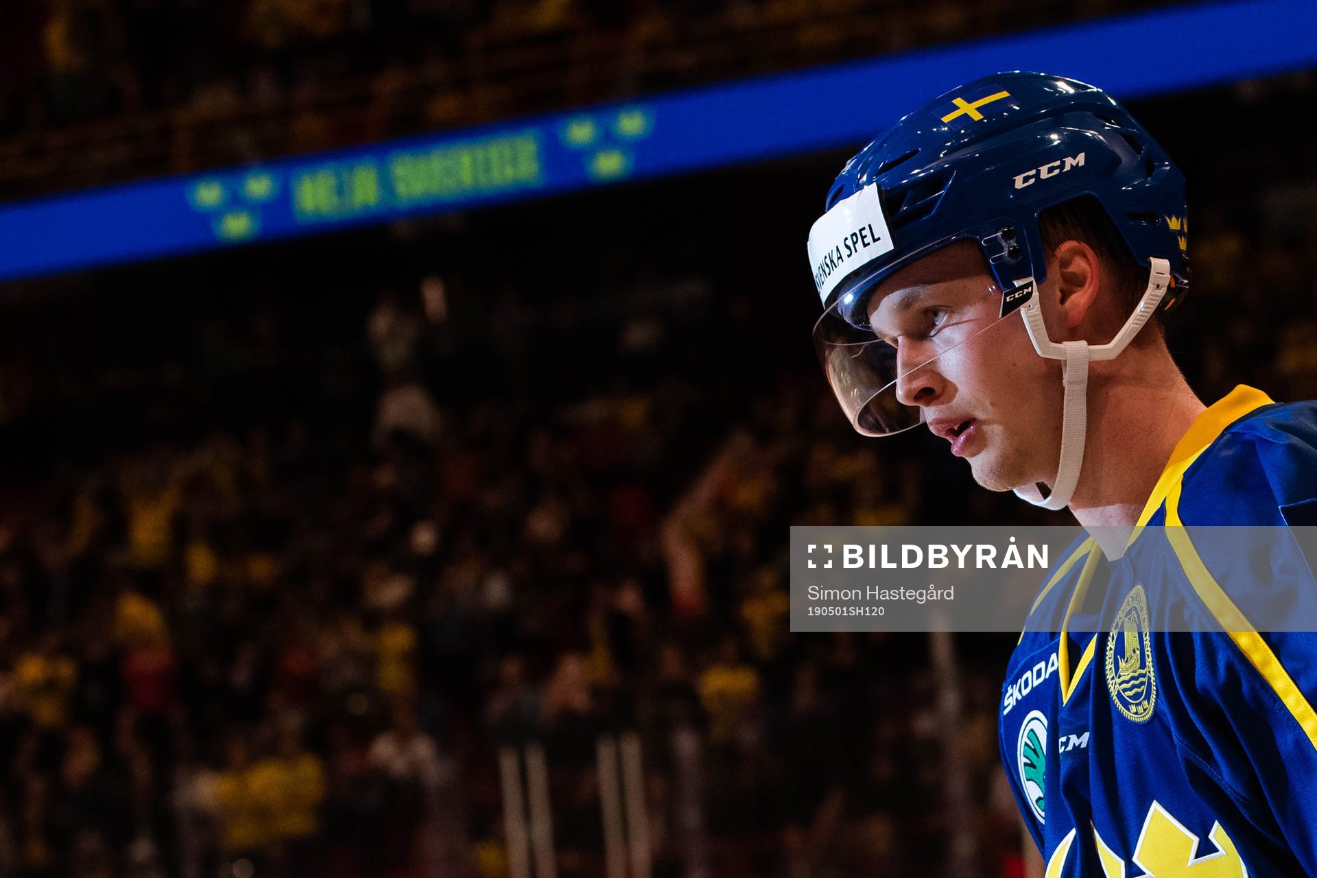 Elias Pettersson of Sweden