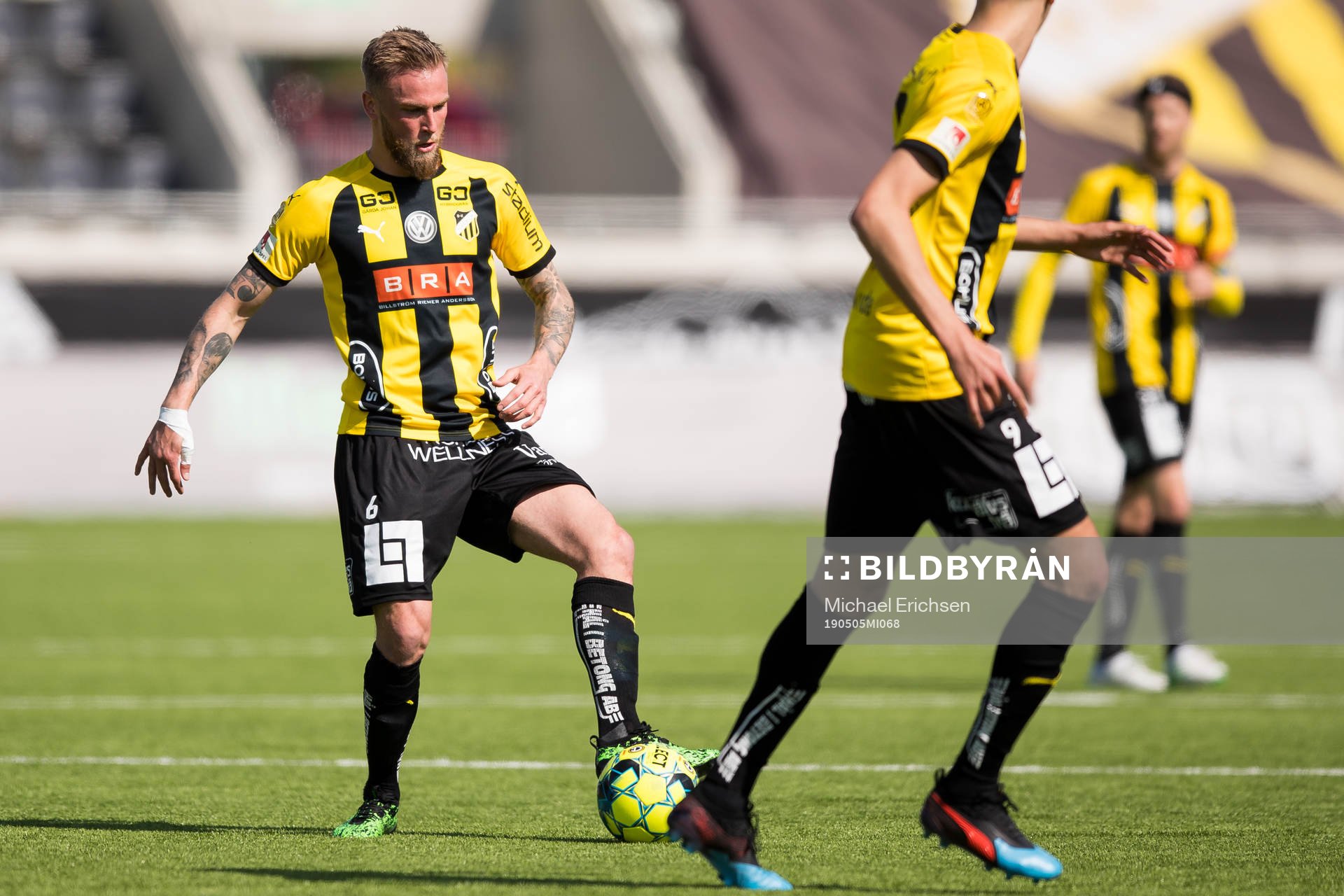 Häckens Alexander Faltsetas