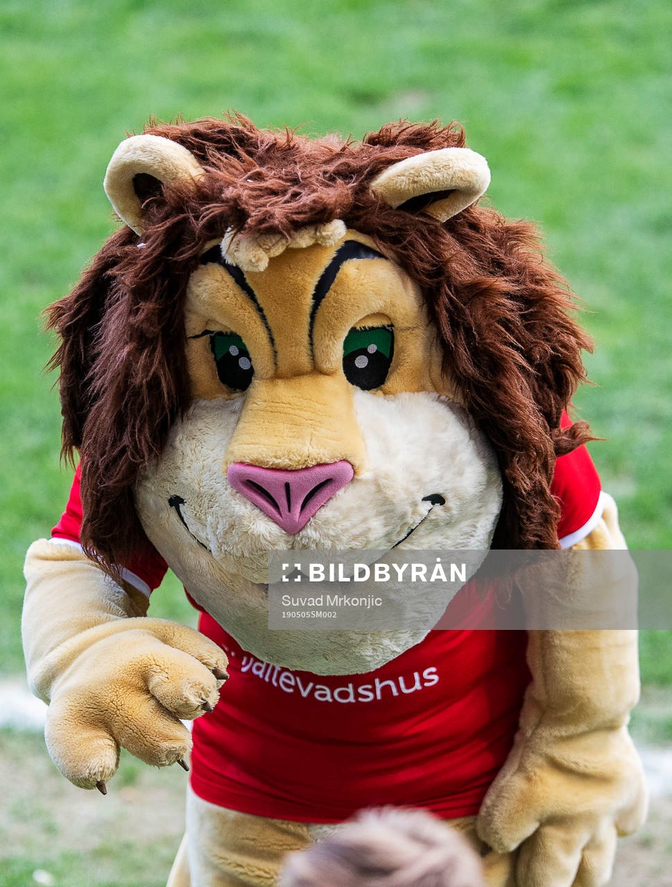 Kalmar FFs maskot Leo