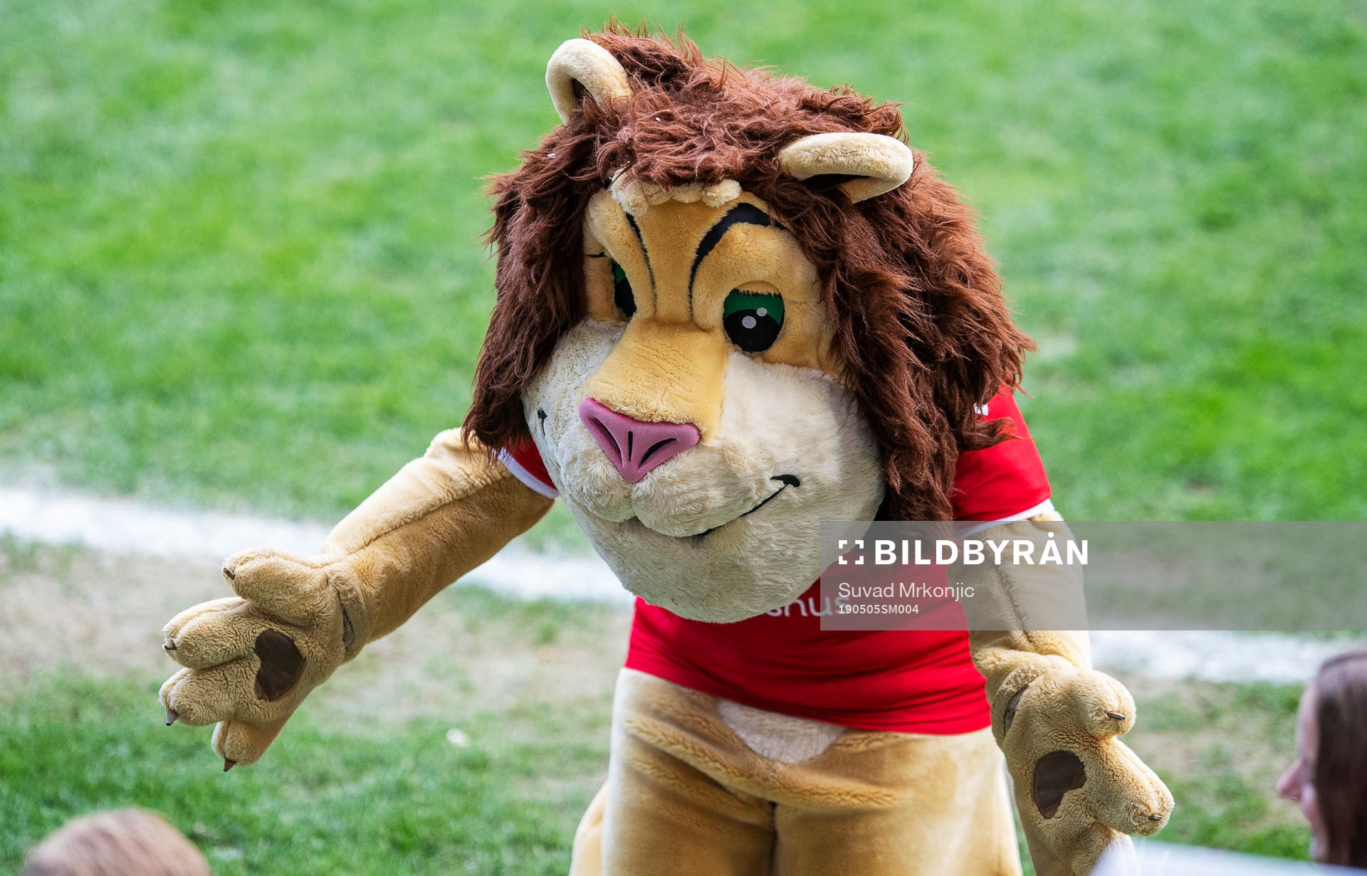 Kalmar FFs maskot Leo
