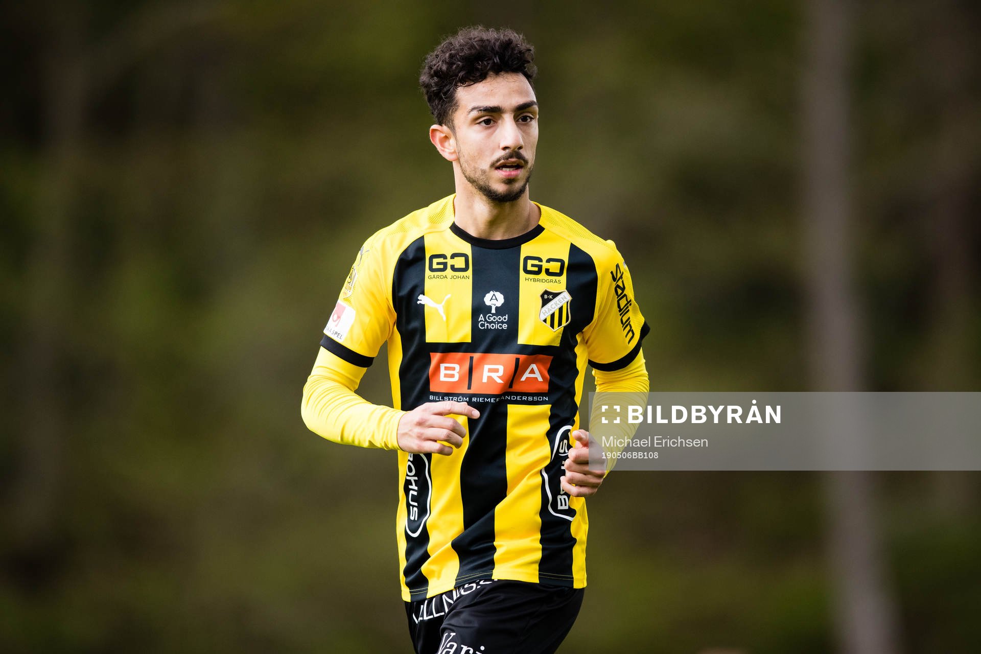 Häckens Daleho Irandust