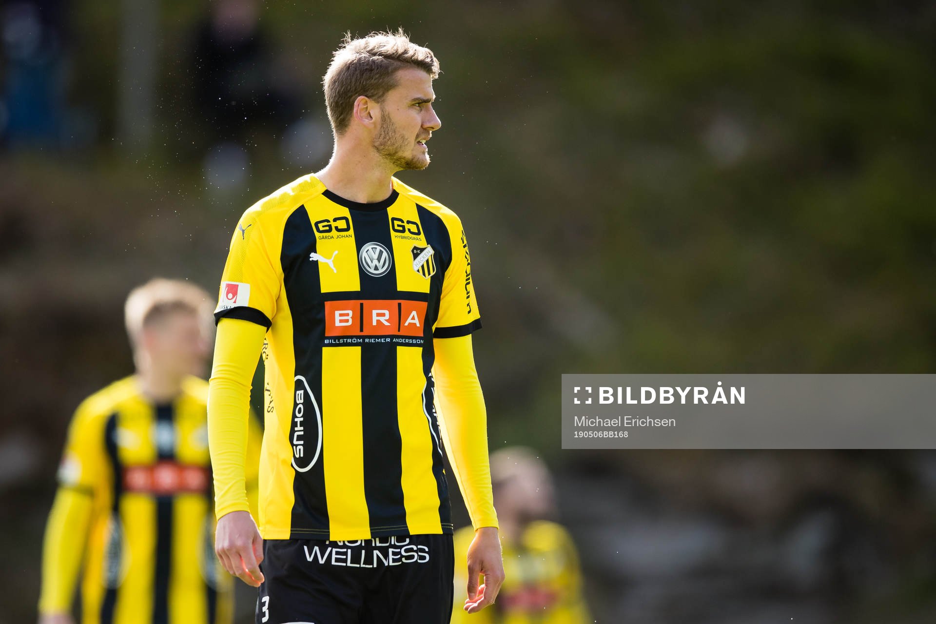 Häckens Johan Hammar