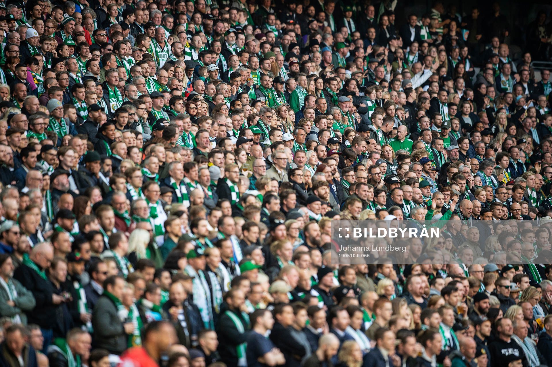 Hammarbys supportrar