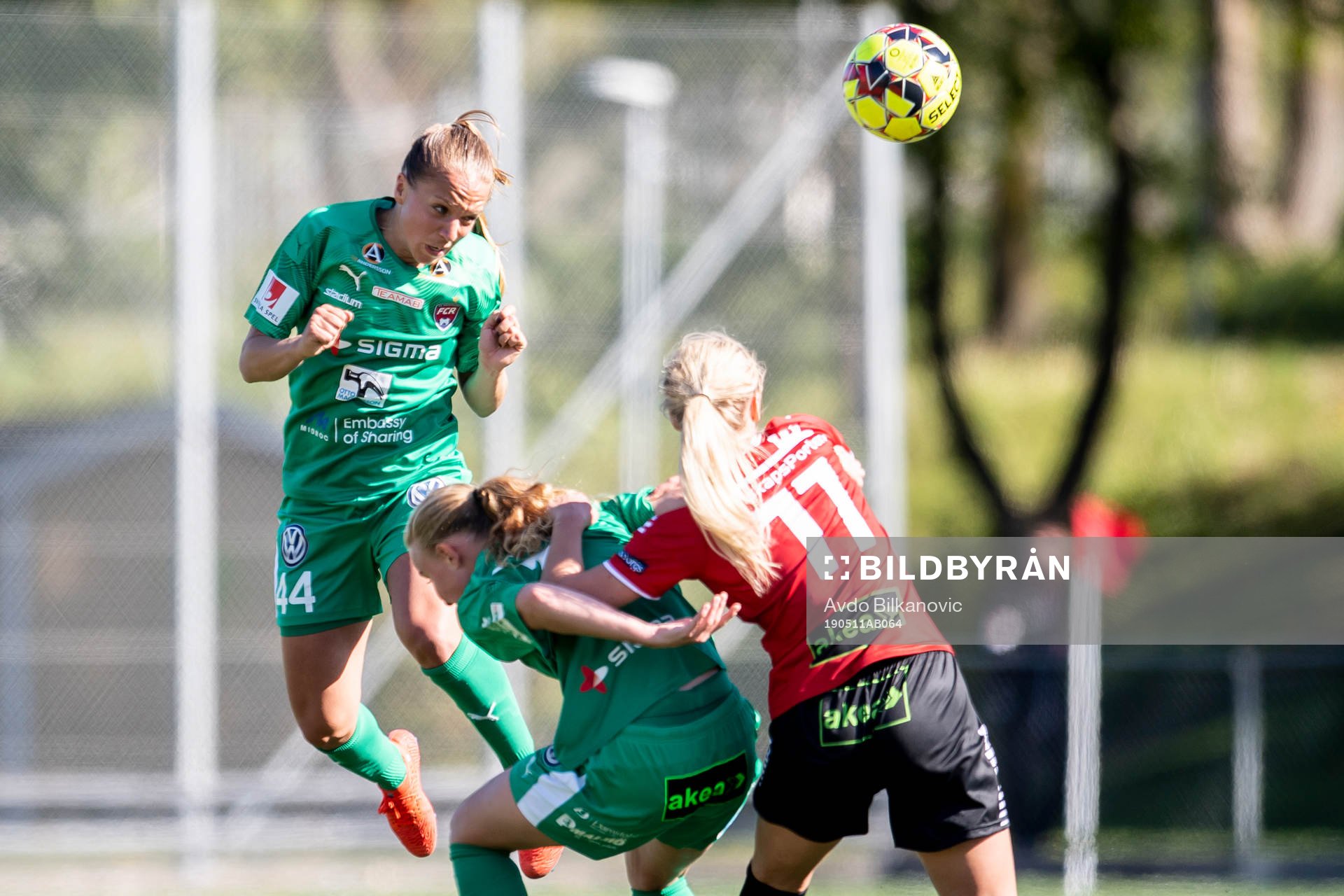 Rosengårds Anam Imo nickar