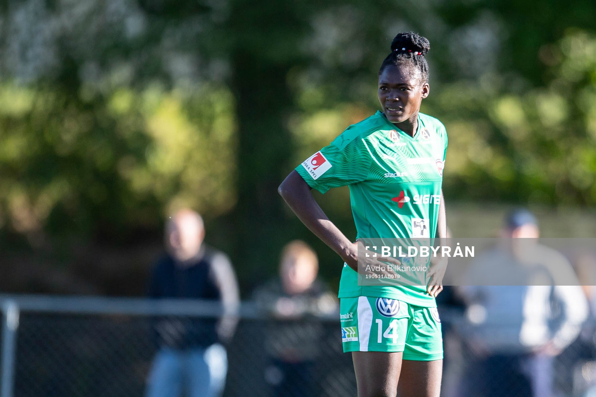 Rosengårds Anam Imo deppar