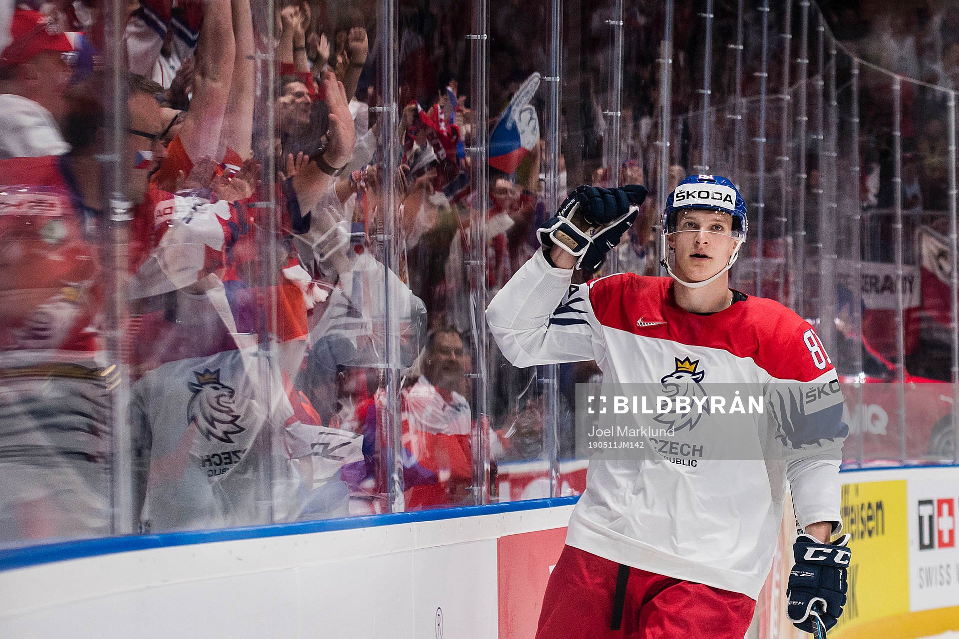 Dominik Kubalik of Czech Republic celebrates