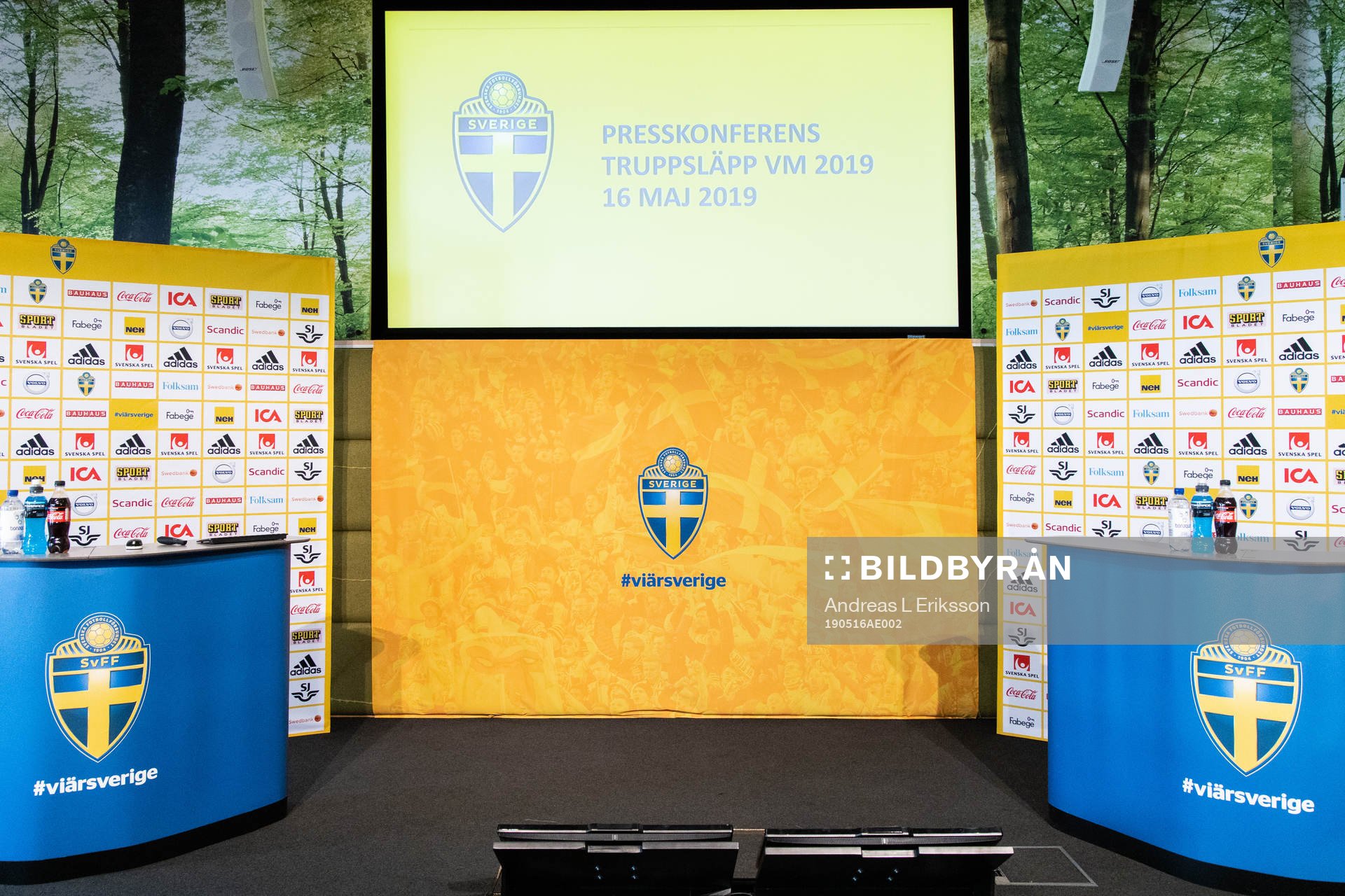The scene