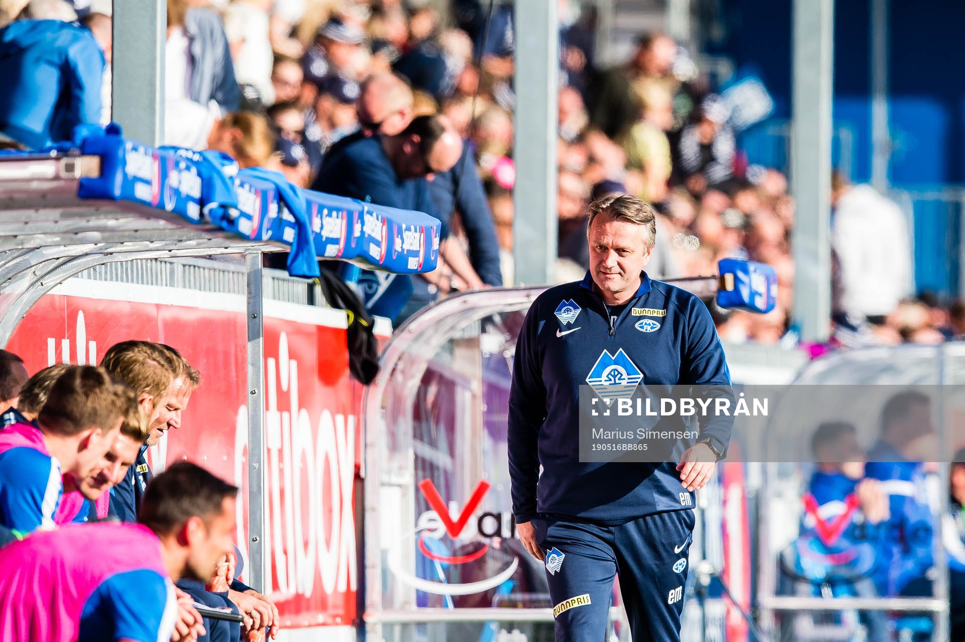 Erling Moe, head coach of Molde