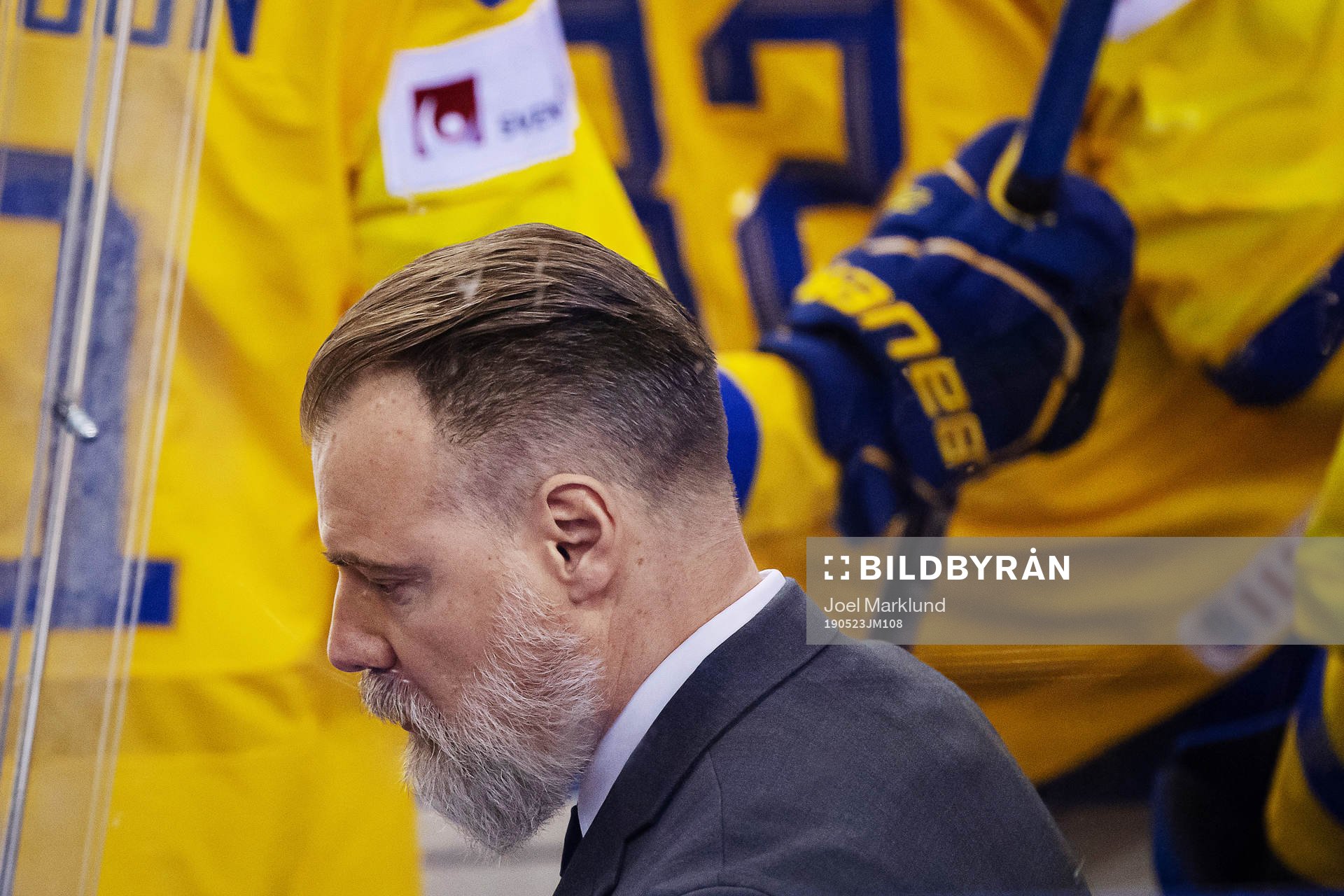 head coach Rikard Grönborg of Sweden