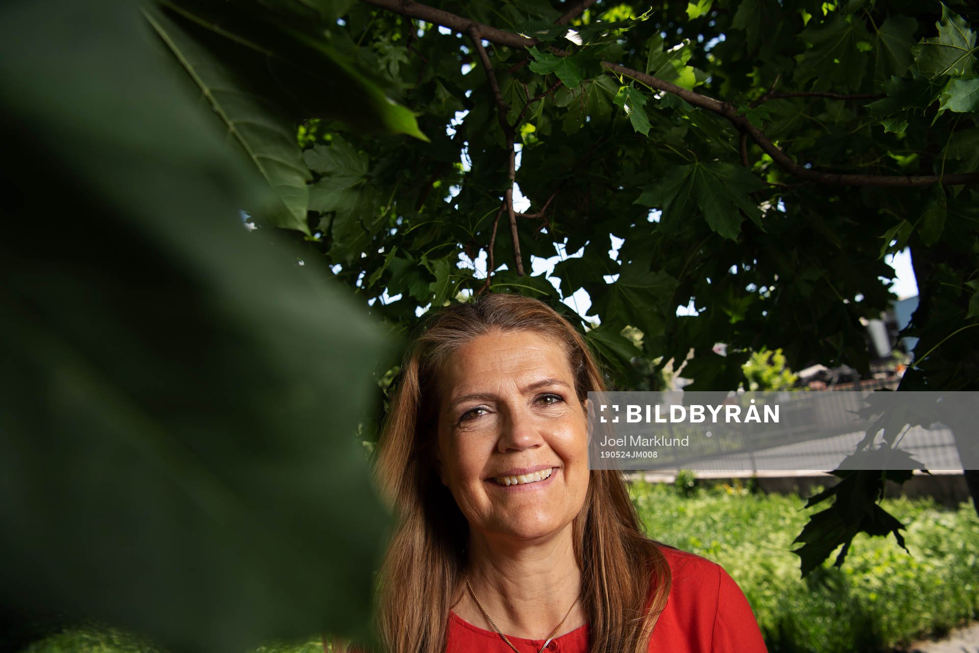 Marie Lehmann, programledare på SVT