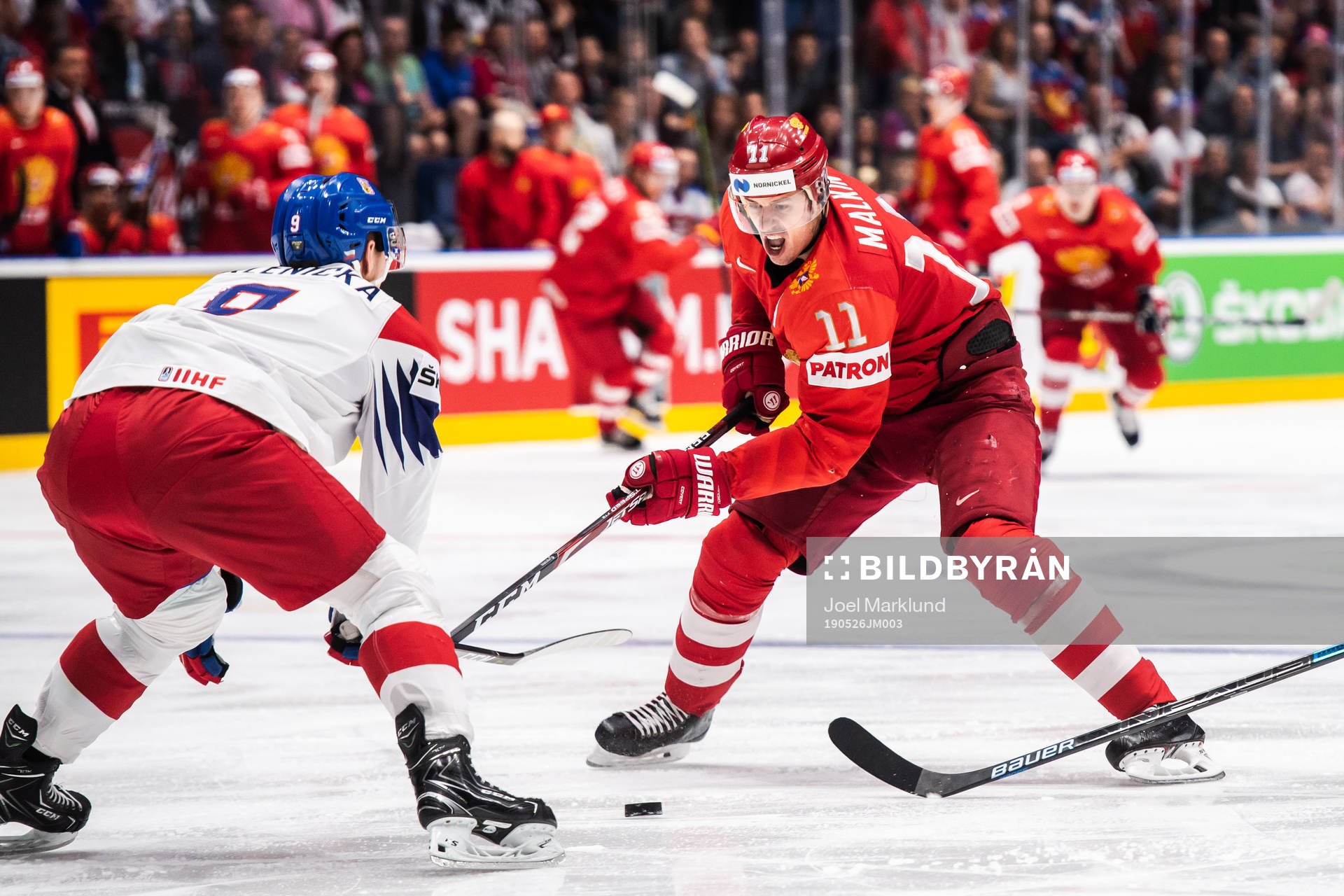 David Sklenicka of Czech Republic and Evgeni Malkin of