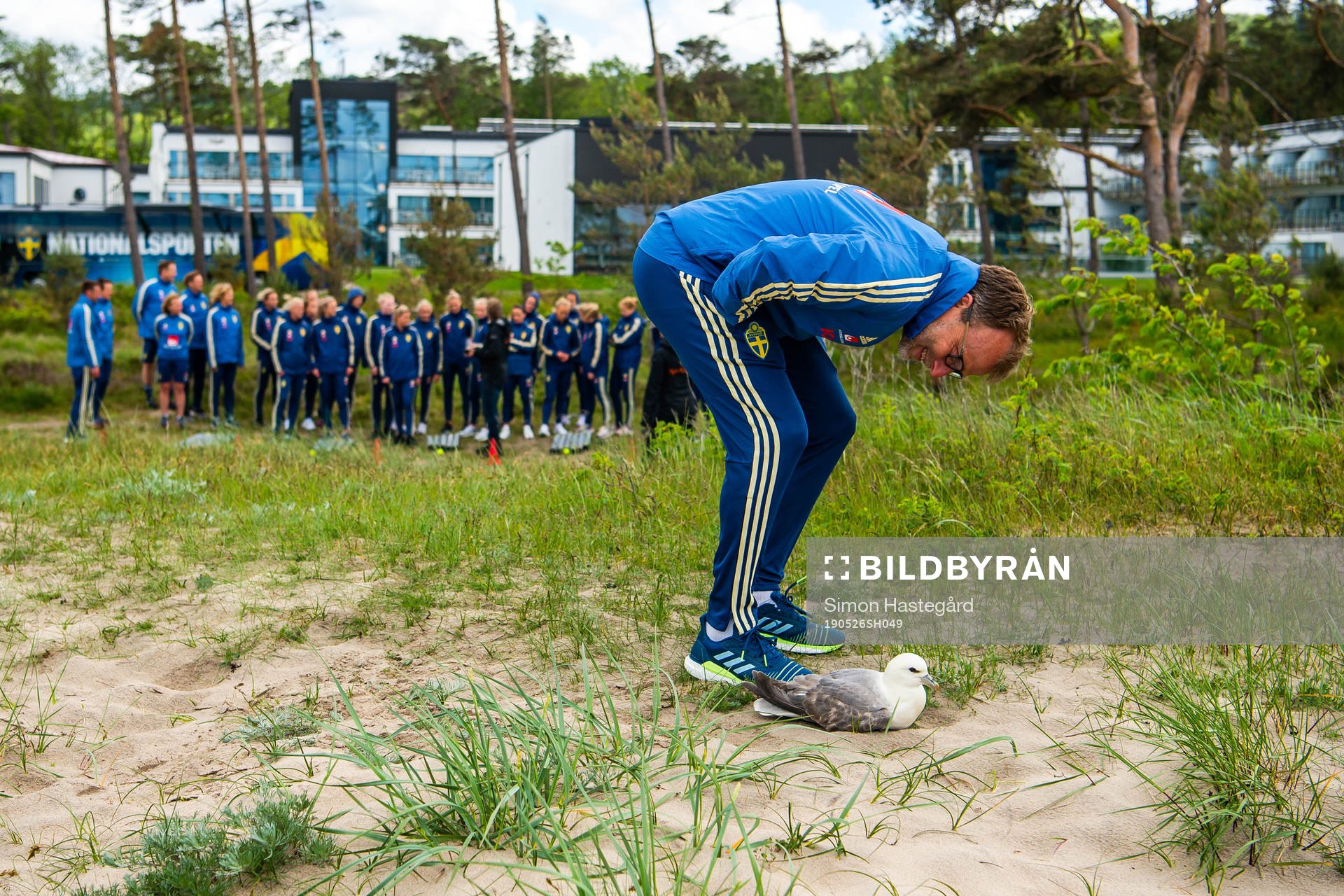 Pontus Ekblom, Physiologist of Swedish women national