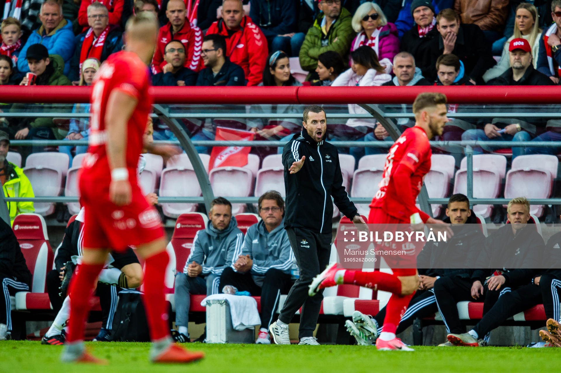 Eirik Horneland, head coach of Rosenborg