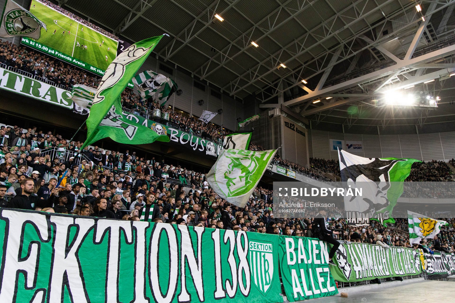 Supportrar till Hammarby