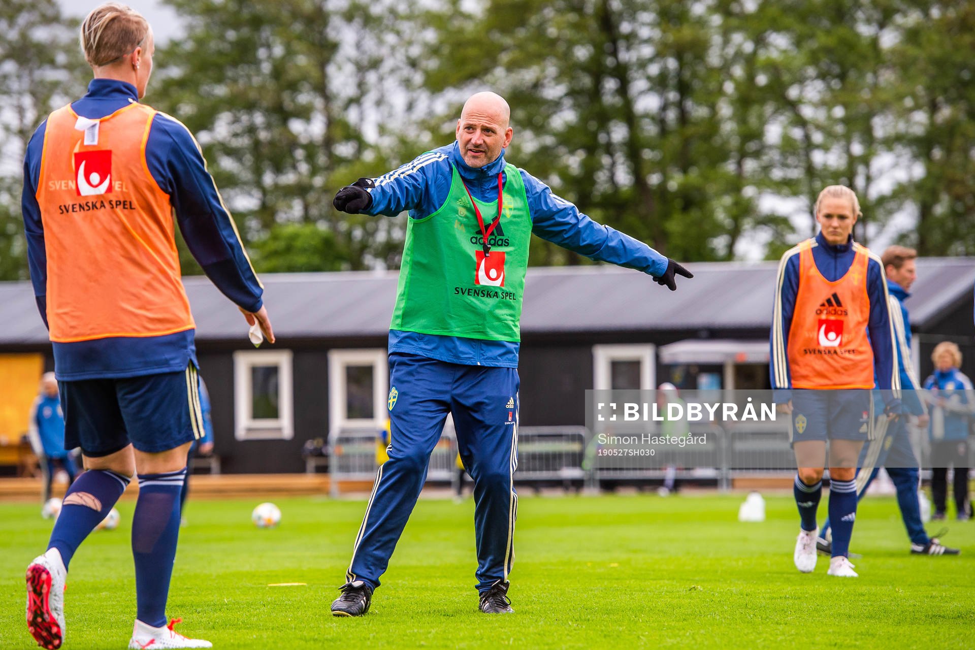 Magnus Wikman, Assistant coach of Swedish women national