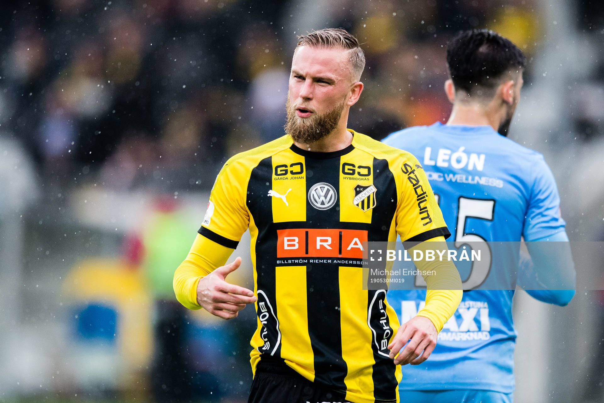 Häckens Alexander Faltsetas