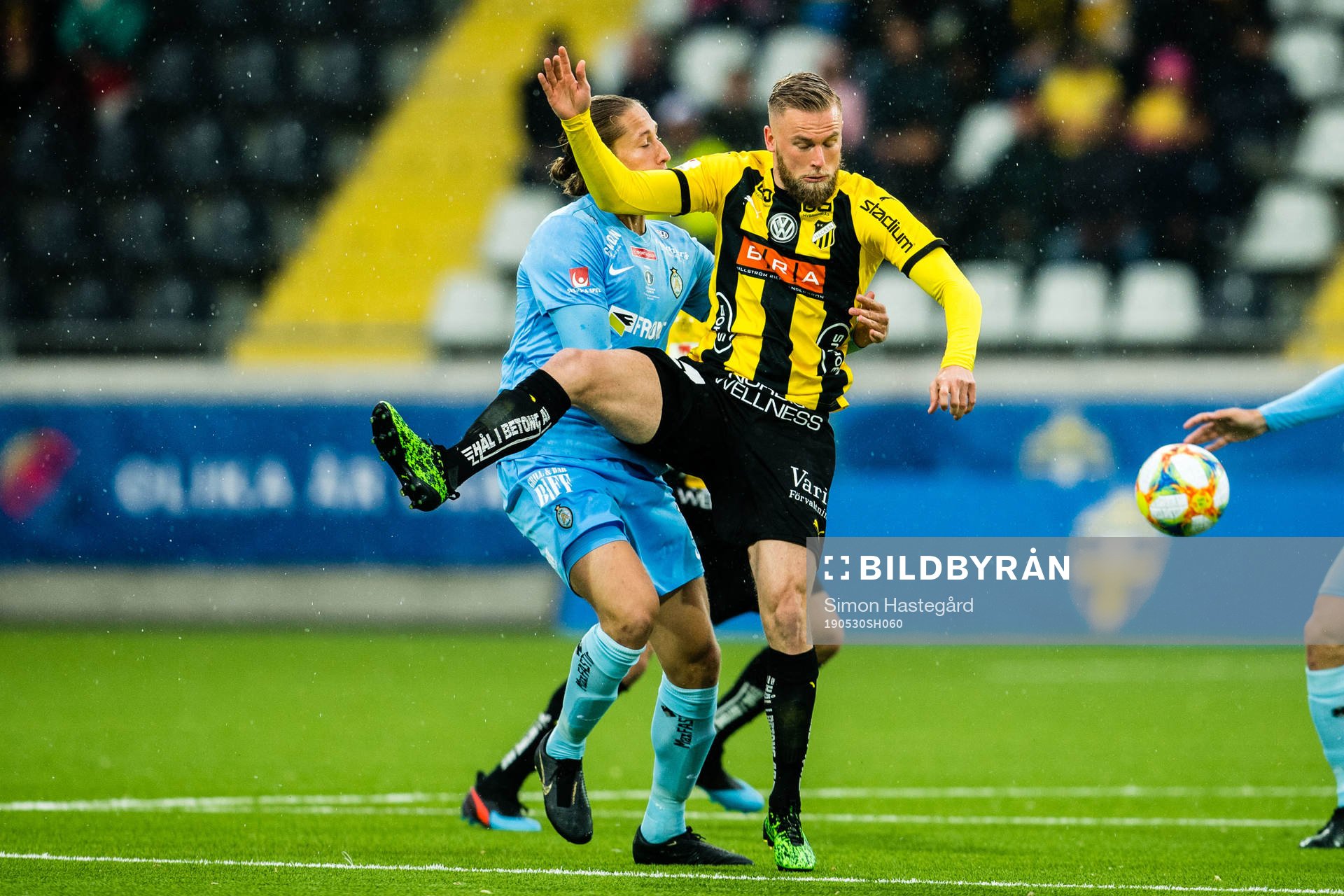 Häckens Alexander Faltsetas
