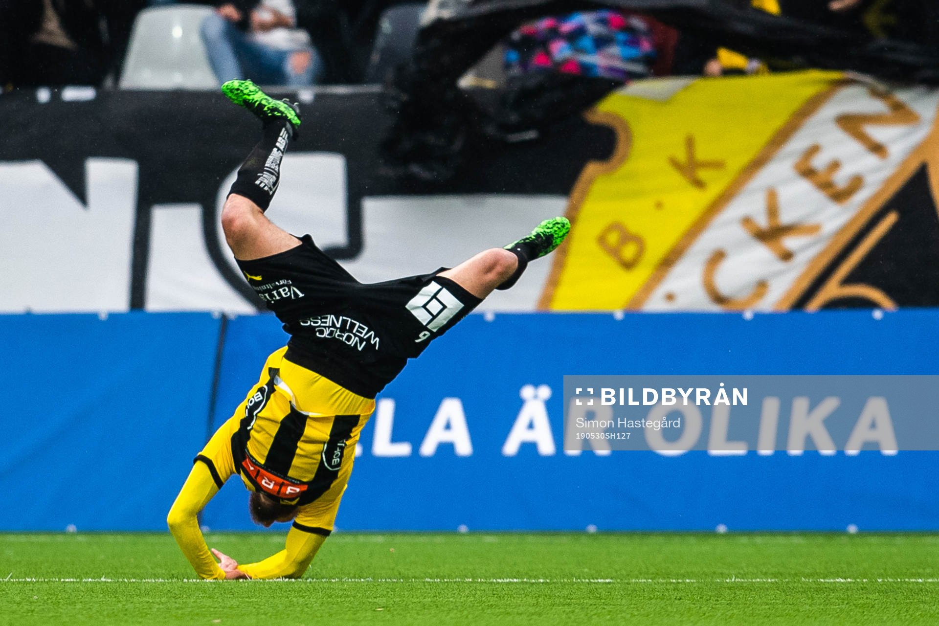 Häckens Alexander Faltsetas jublar