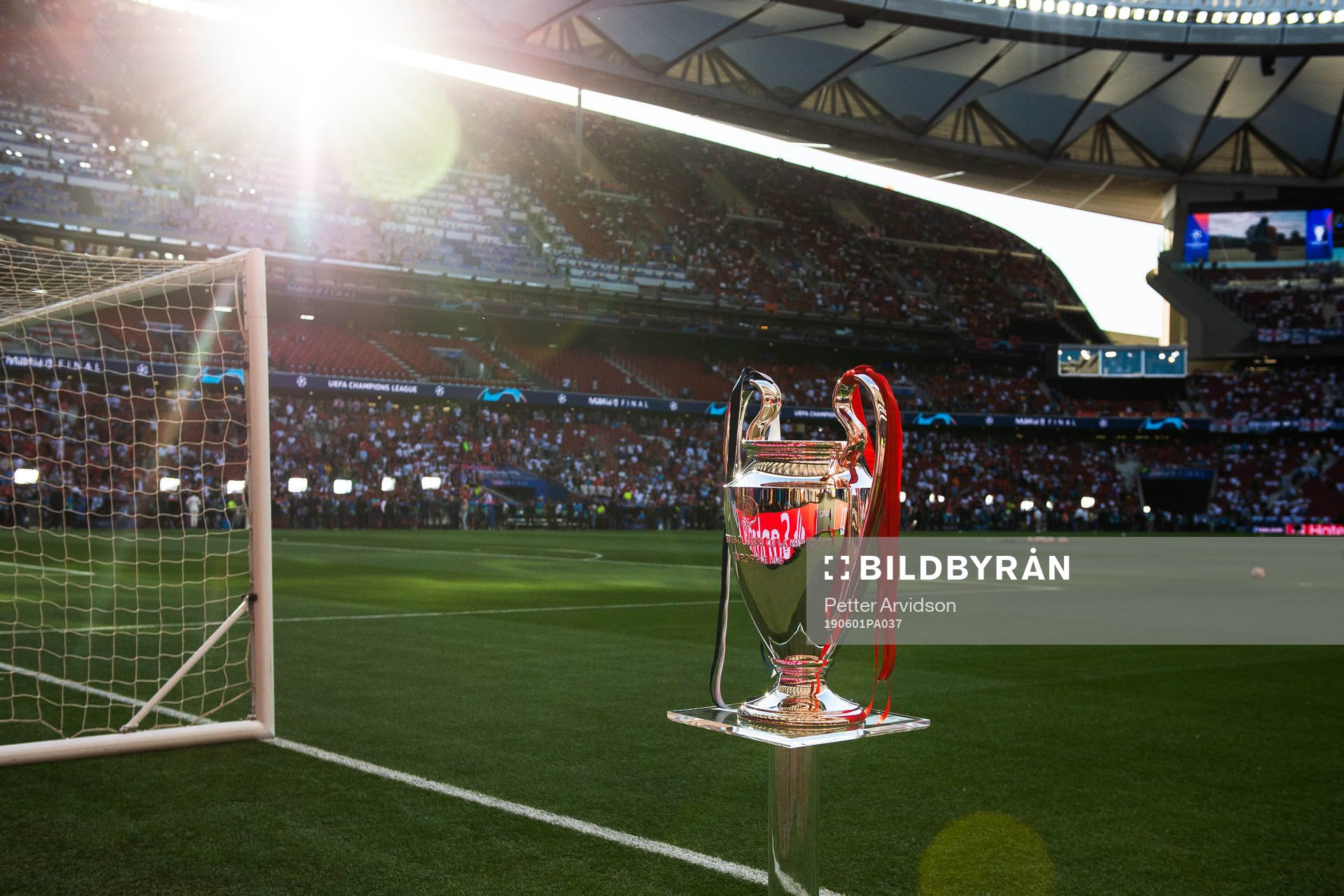 The trophy