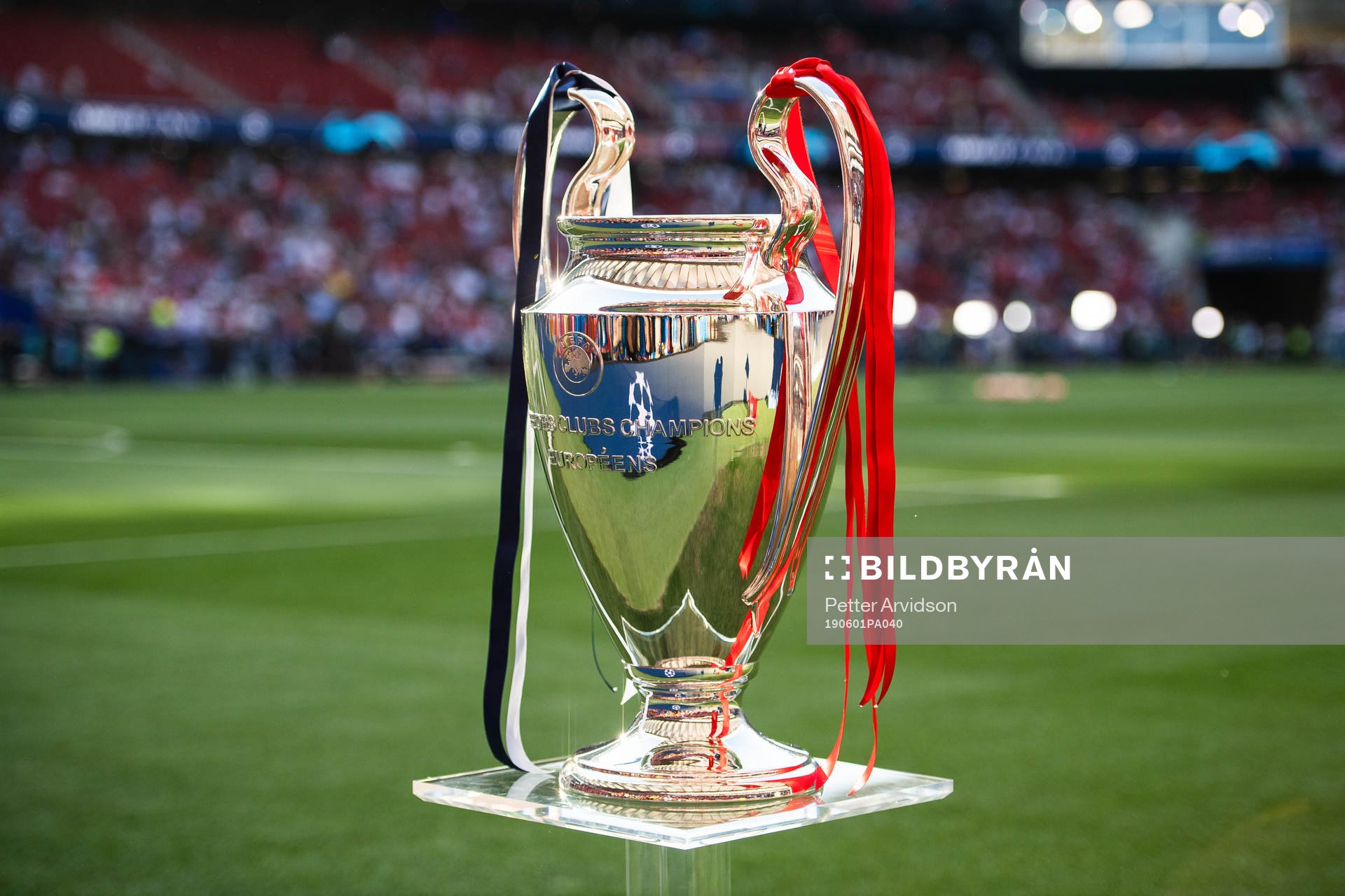 The trophy