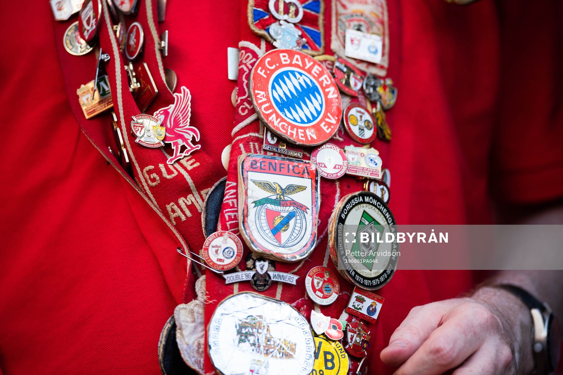 Pins of different clubs