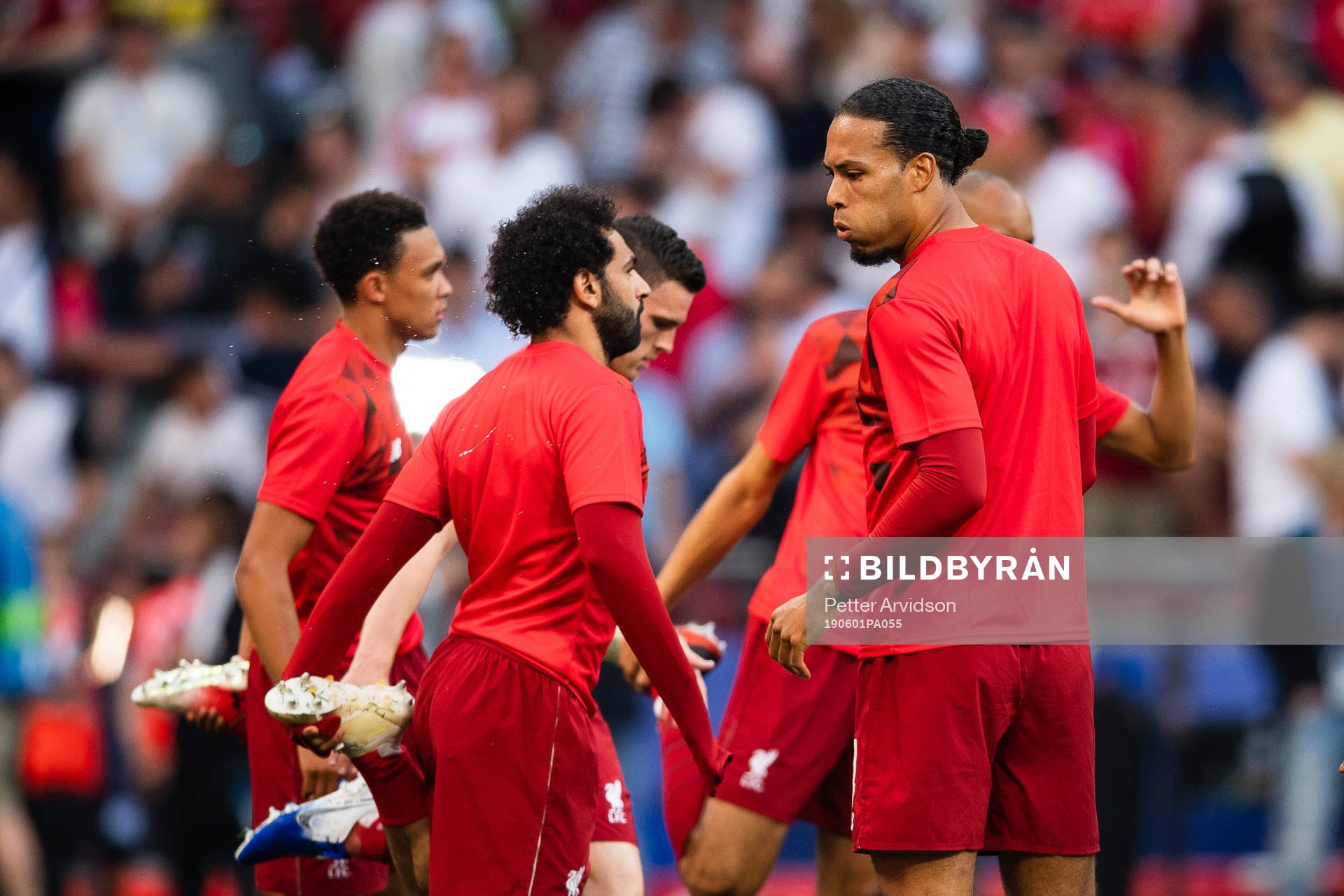 Virgil van Dijk of Liverpool