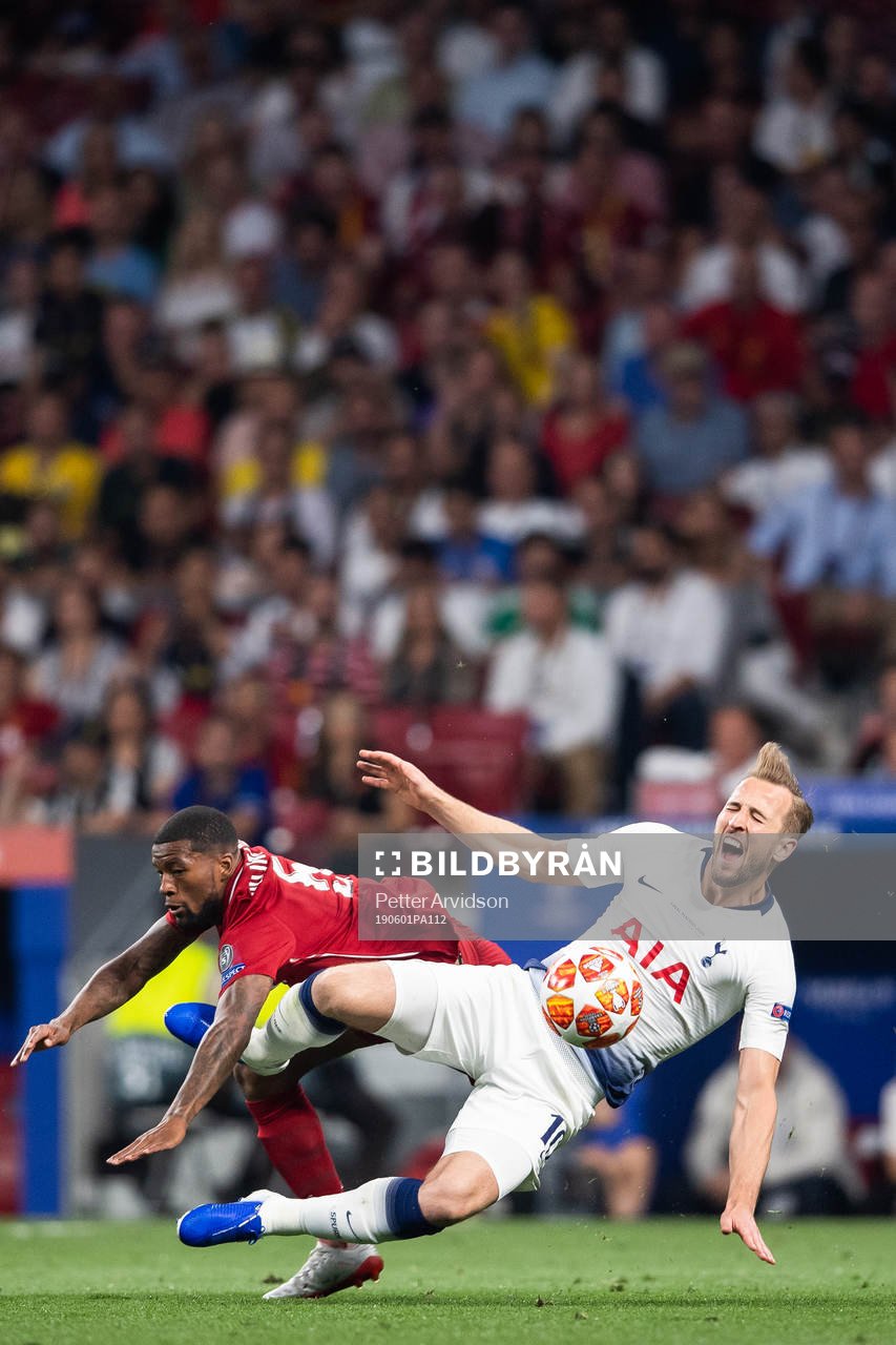 Georginio Wijnaldum of Liverpool and Harry Kane of