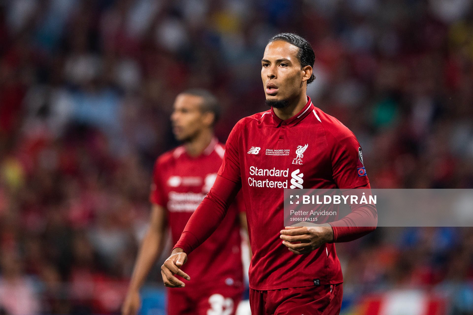 Virgil van Dijk of Liverpool