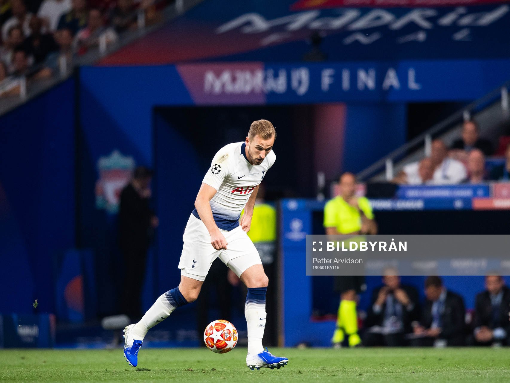 Harry Kane of Tottenham