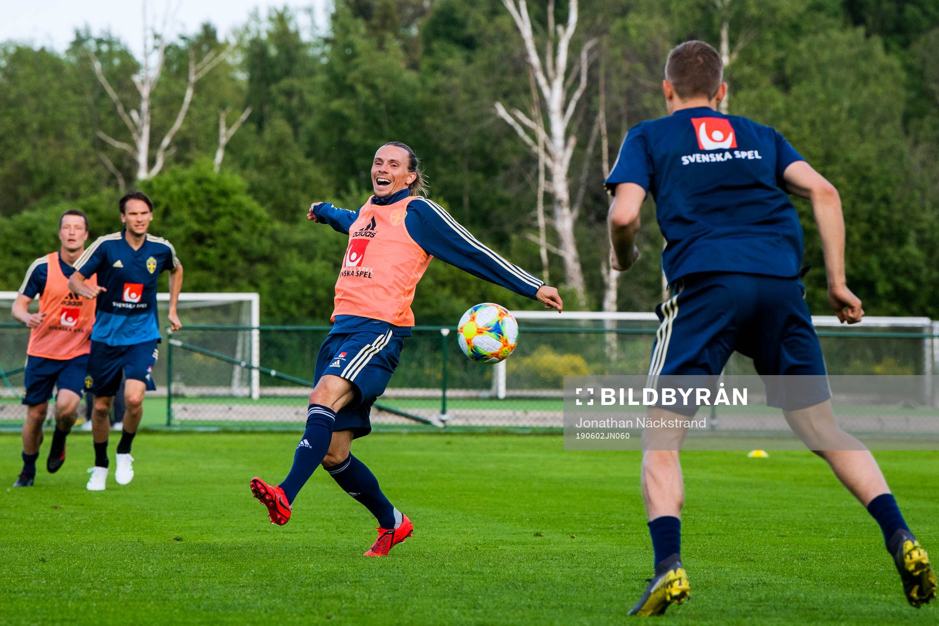 Niklas Hult of the Swedish national football team
