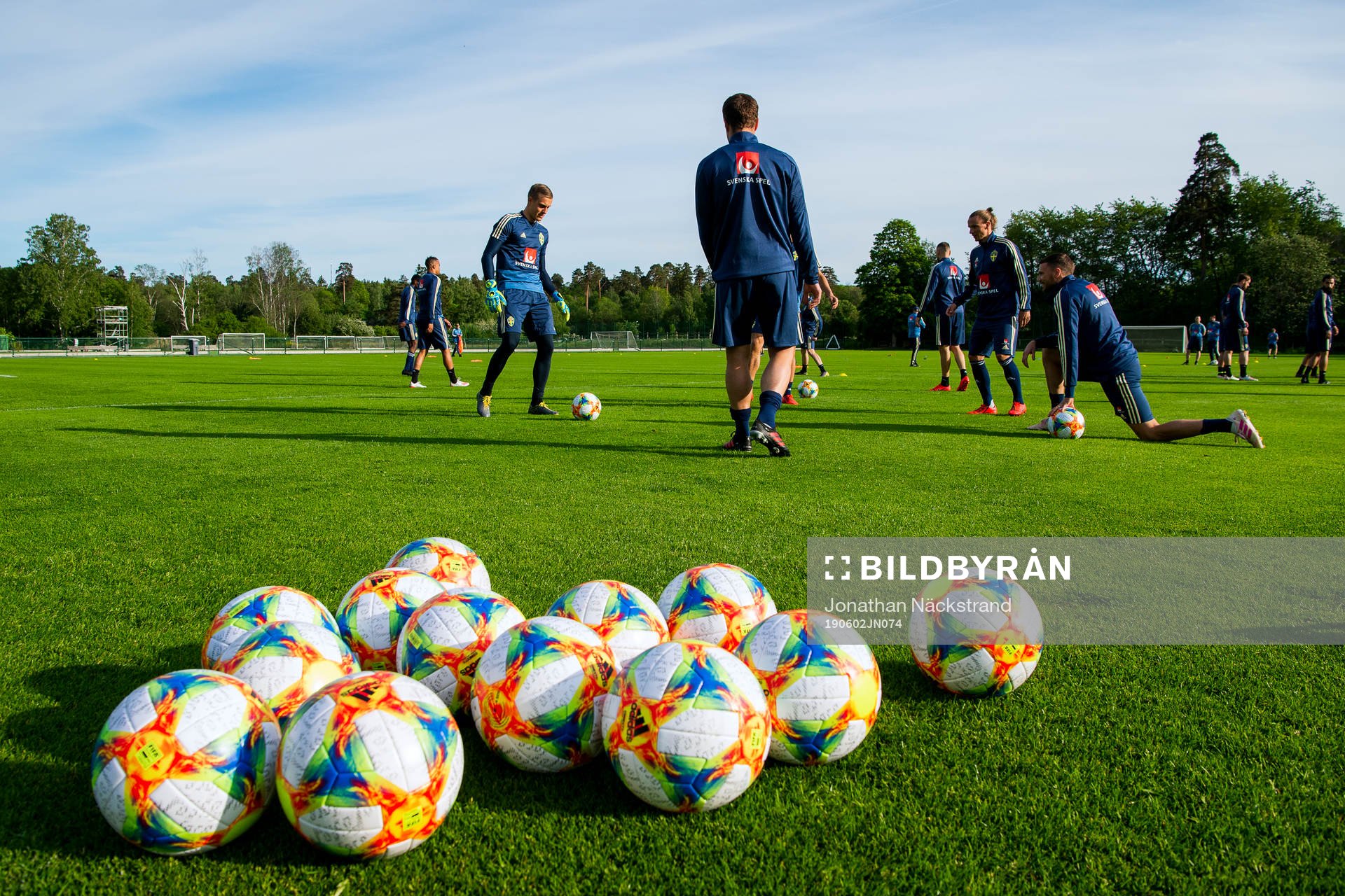 Players of the Swedish national football team