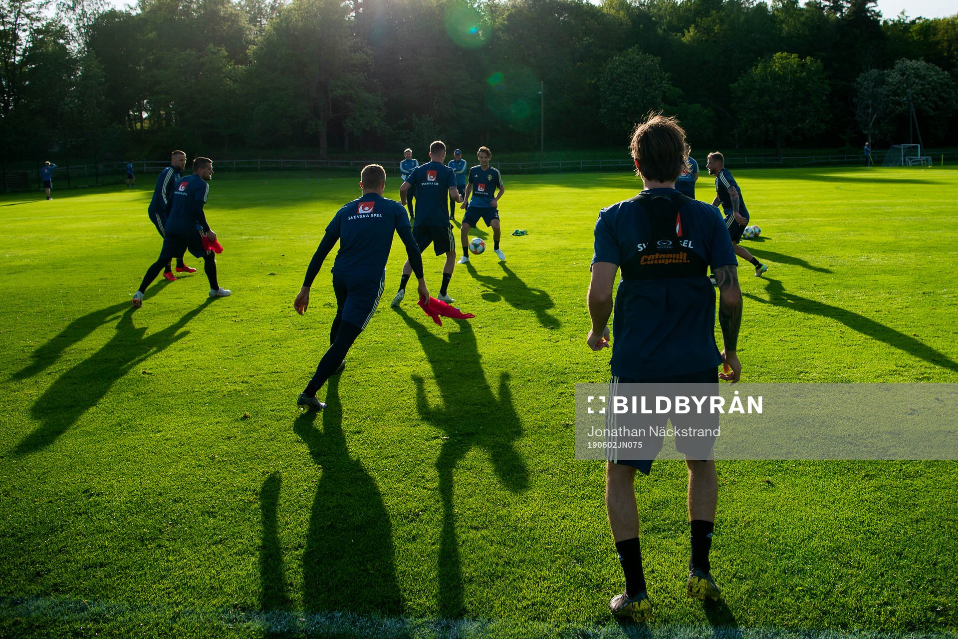 Players of the Swedish national football team