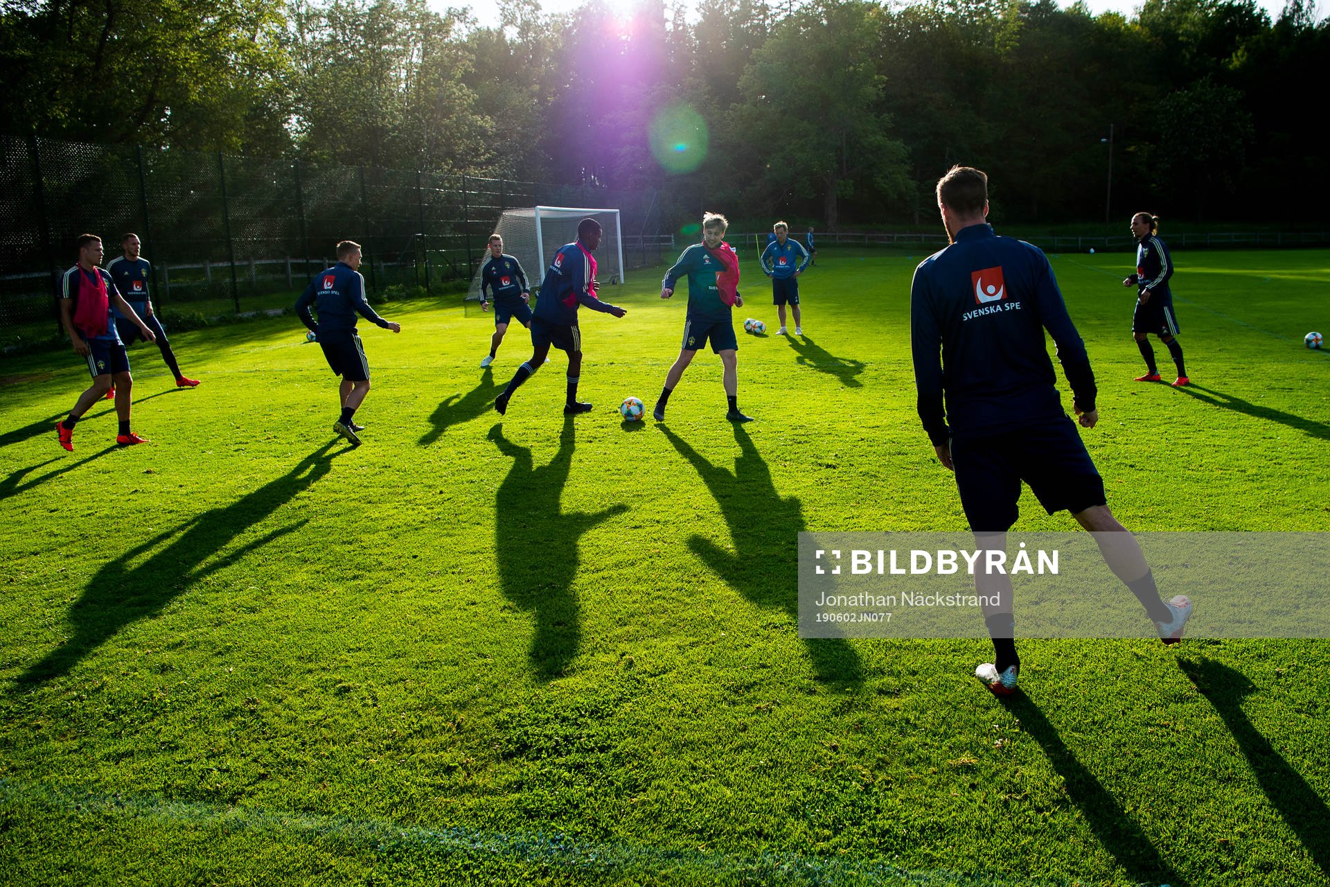 Players of the Swedish national football team