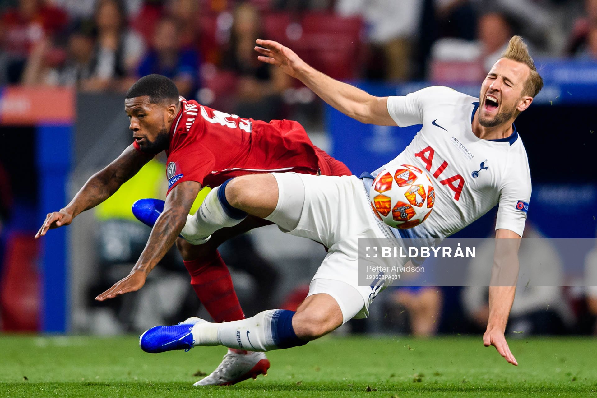 Georginio Wijnaldum of Liverpool and Harry Kane of Tottenham