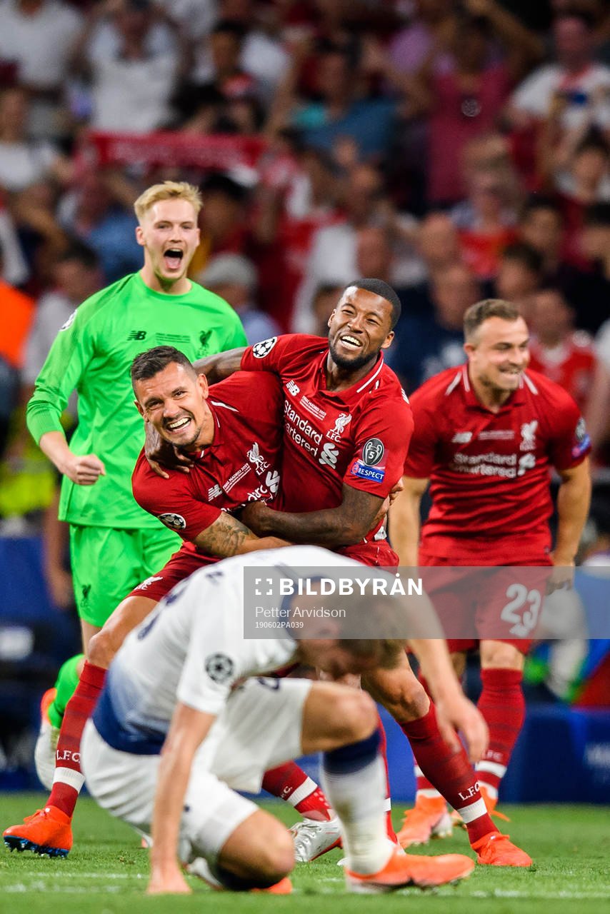 Dejan Lovren and Georginio Wijnaldum of Liverpool celebrate