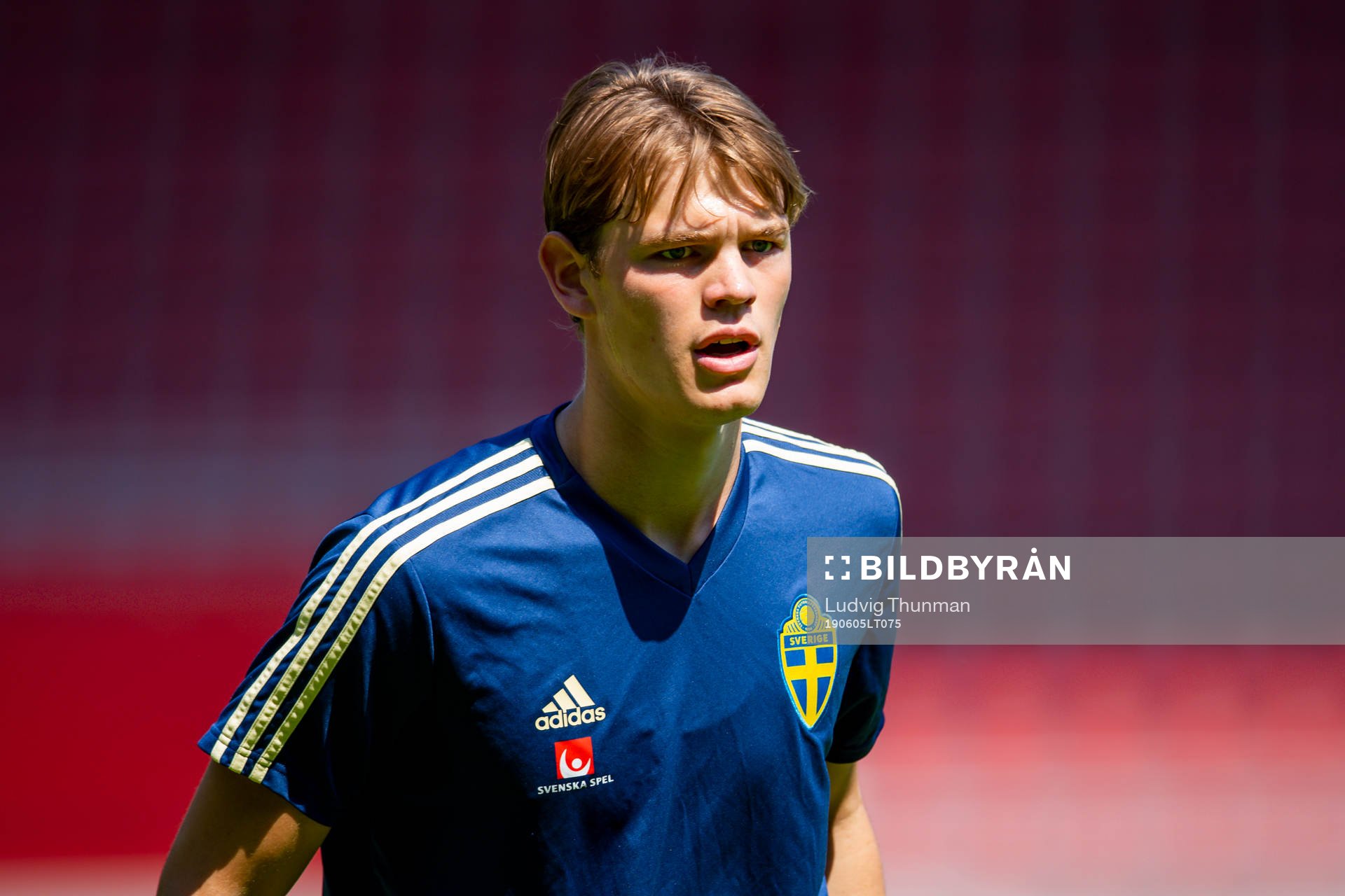 Hugo Andersson