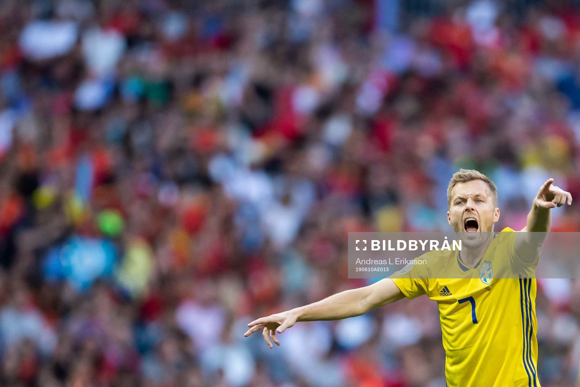 Sebastian Larsson of Sweden