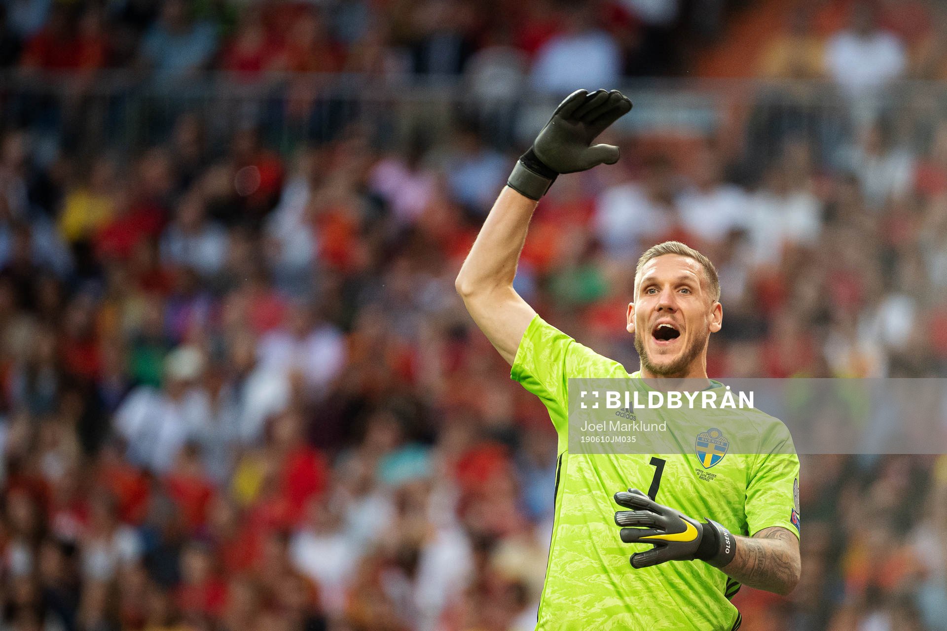 Goalkeeper Robin Olsen of Sweden reacts