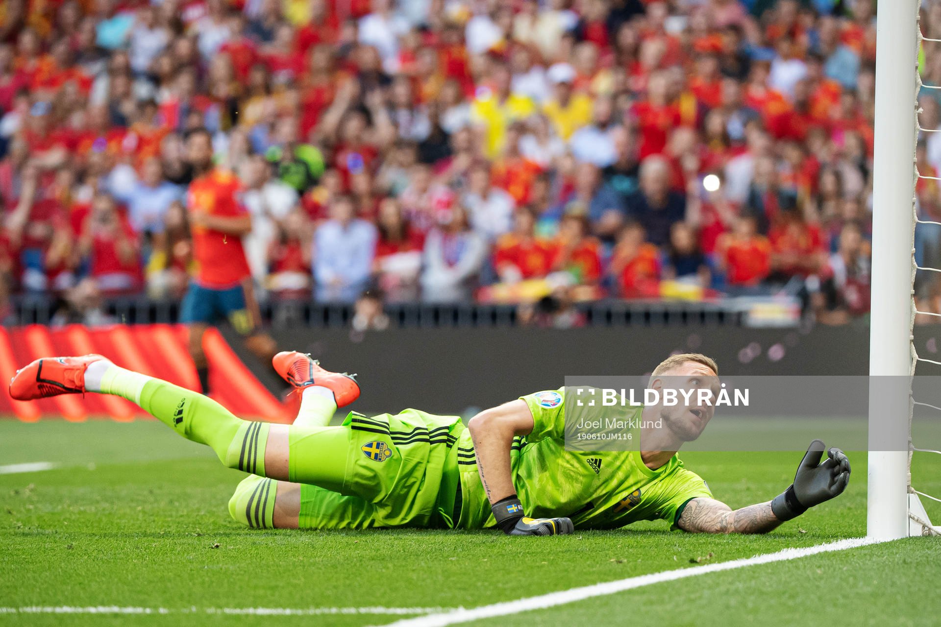 Goalkeeper Robin Olsen of Sweden