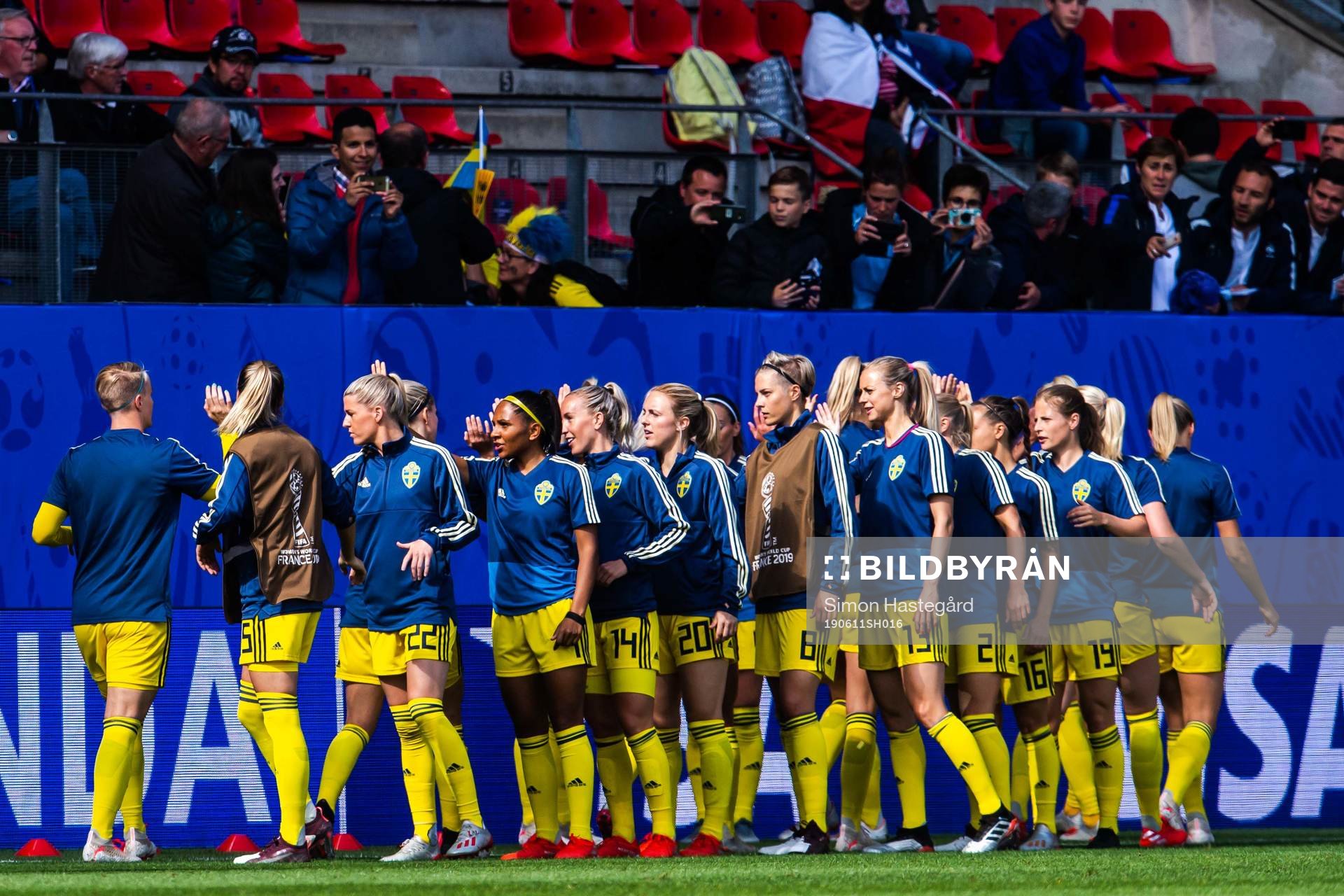 Players of Sweden