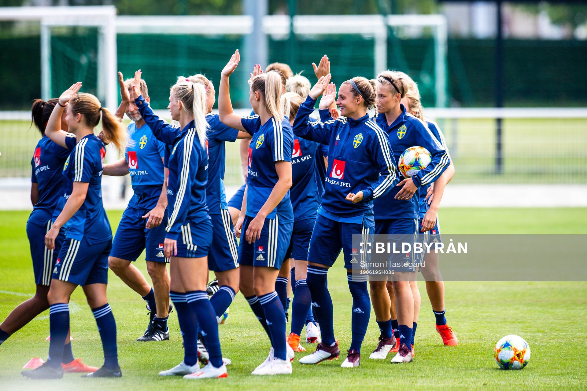 Players of Sweden