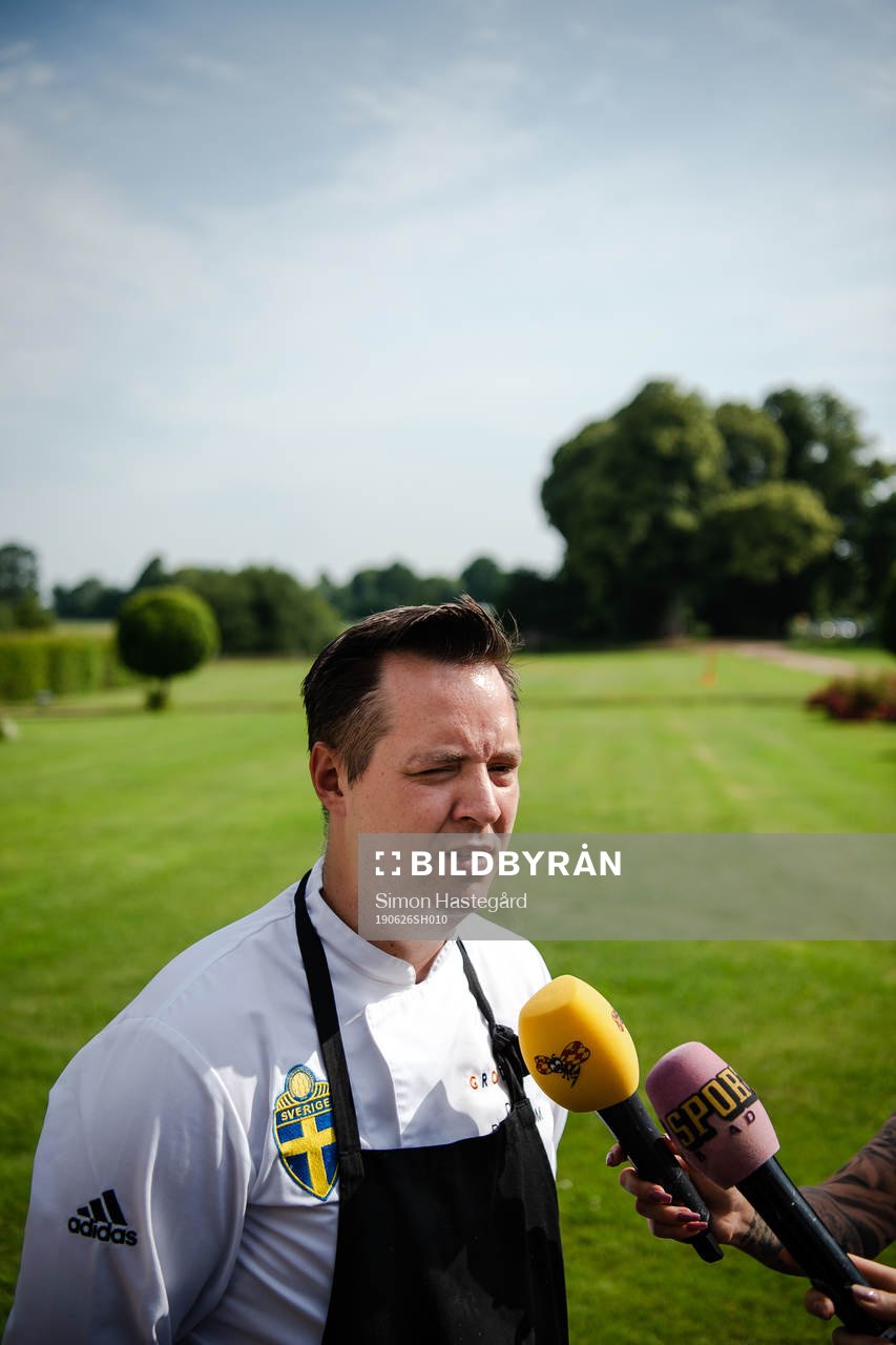 Dick Broström, Chef of Sweden
