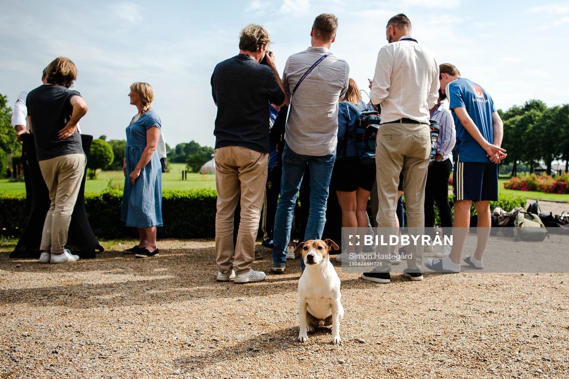 Quick, the Hotel dog infront of members of the media